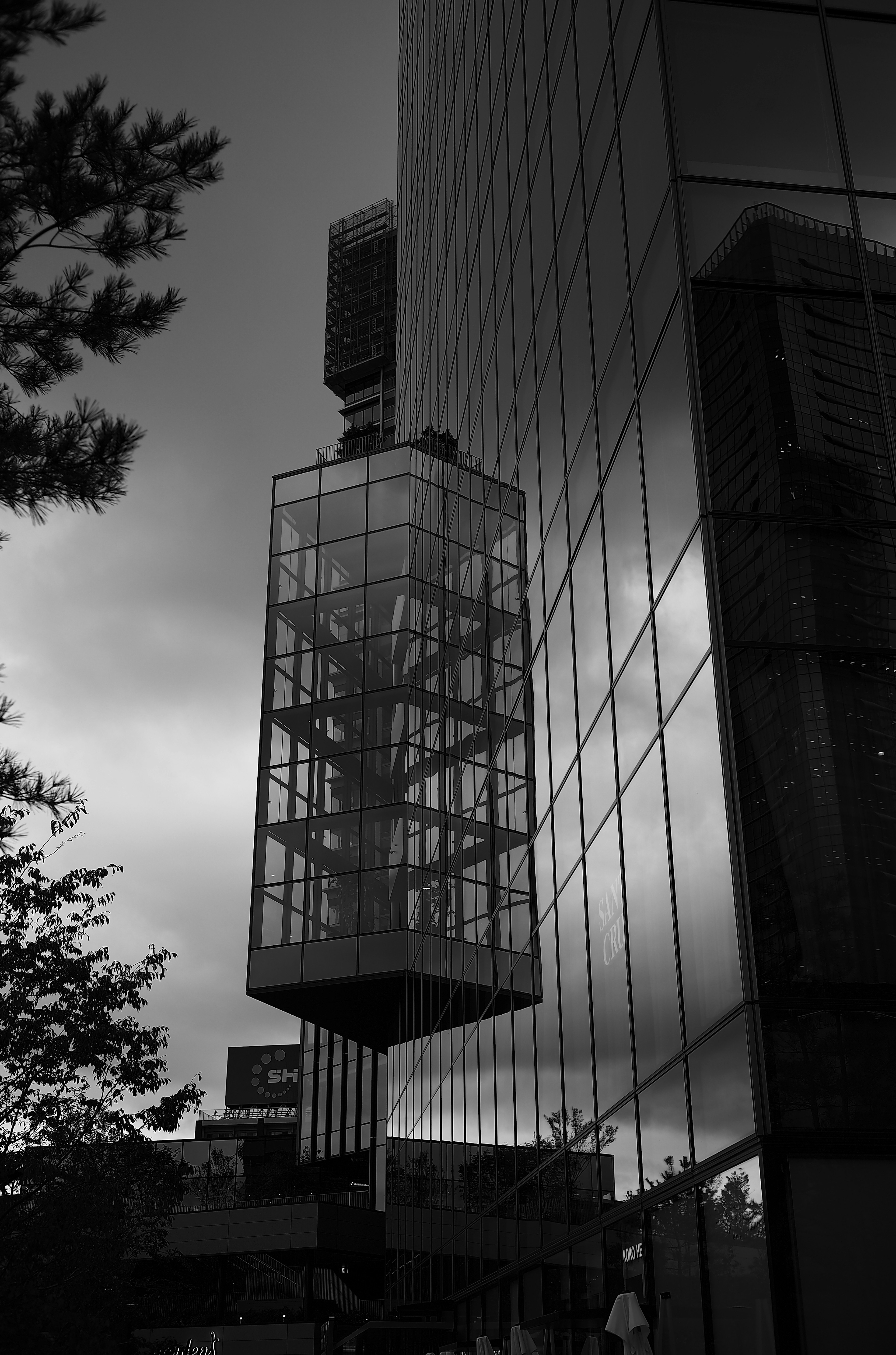 Image en noir et blanc d'un ascenseur en verre moderne avec des reflets de bâtiments environnants