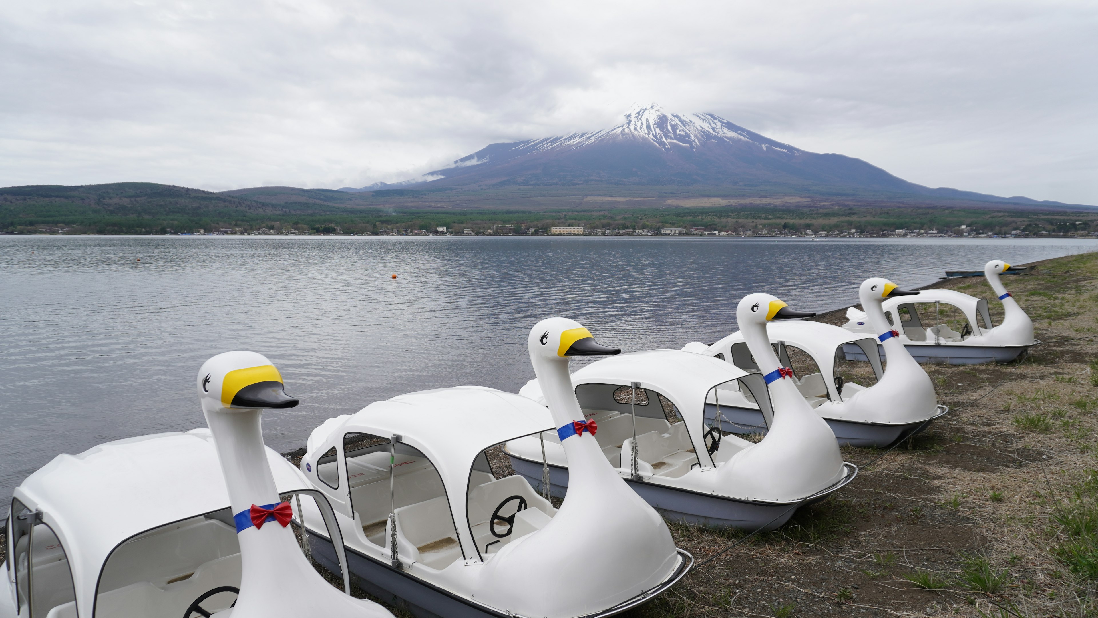 湖のほとりに並ぶ白い白鳥型のボートと雪をかぶった山