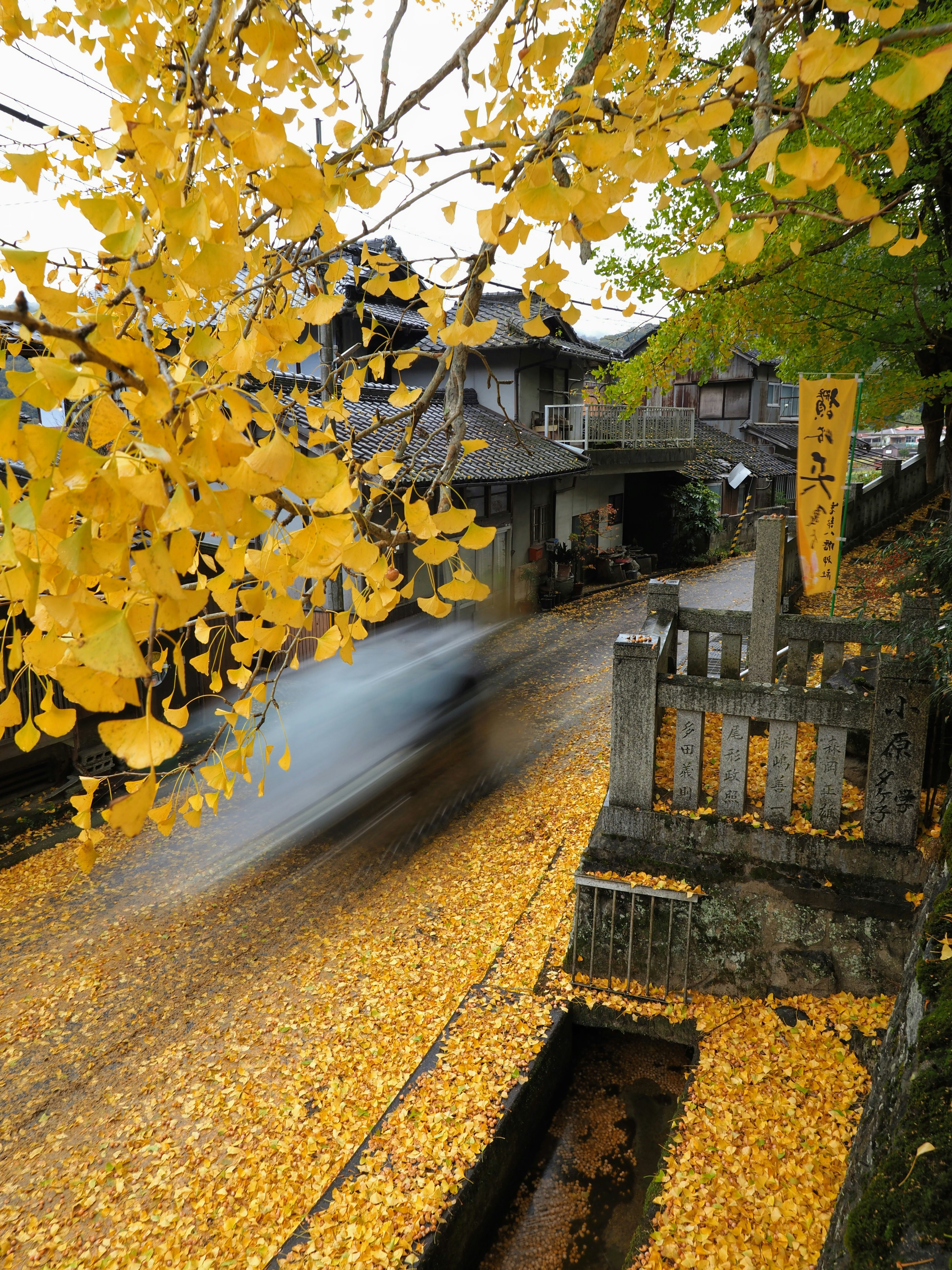 Vista panoramica di una strada coperta di foglie di ginkgo gialle e edifici tradizionali