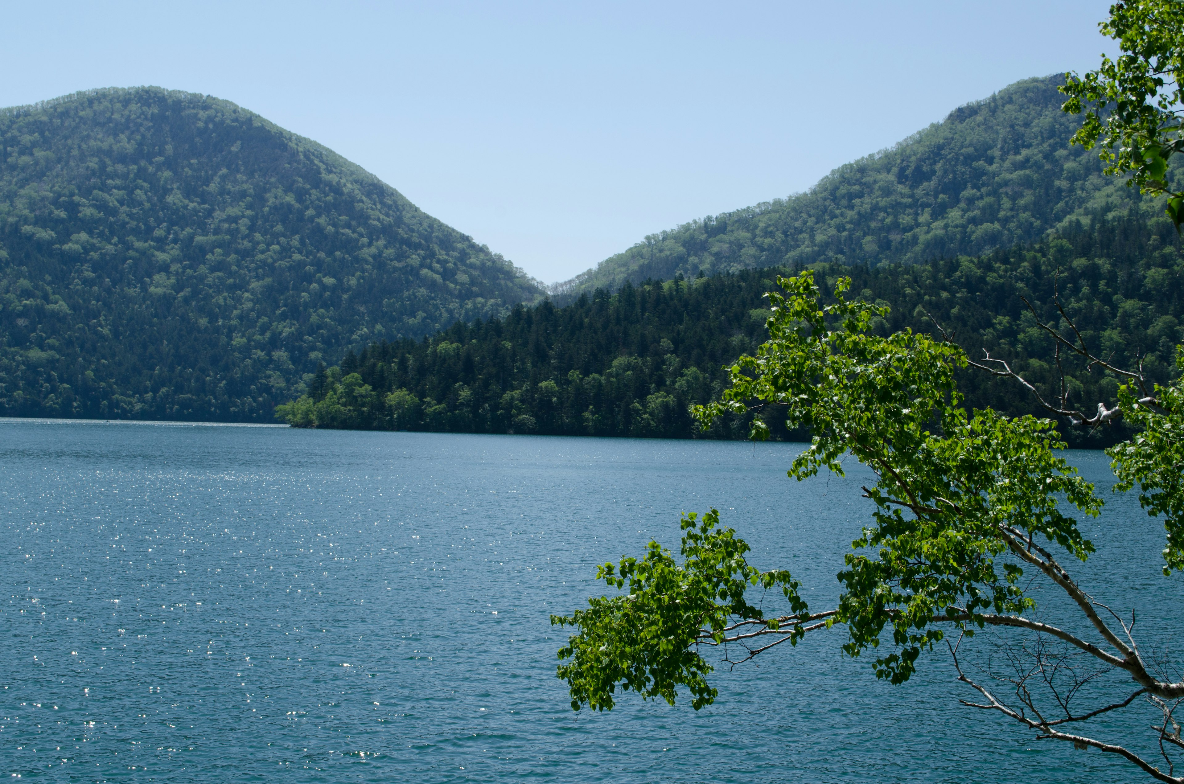 Scenic view of a tranquil lake surrounded by green mountains