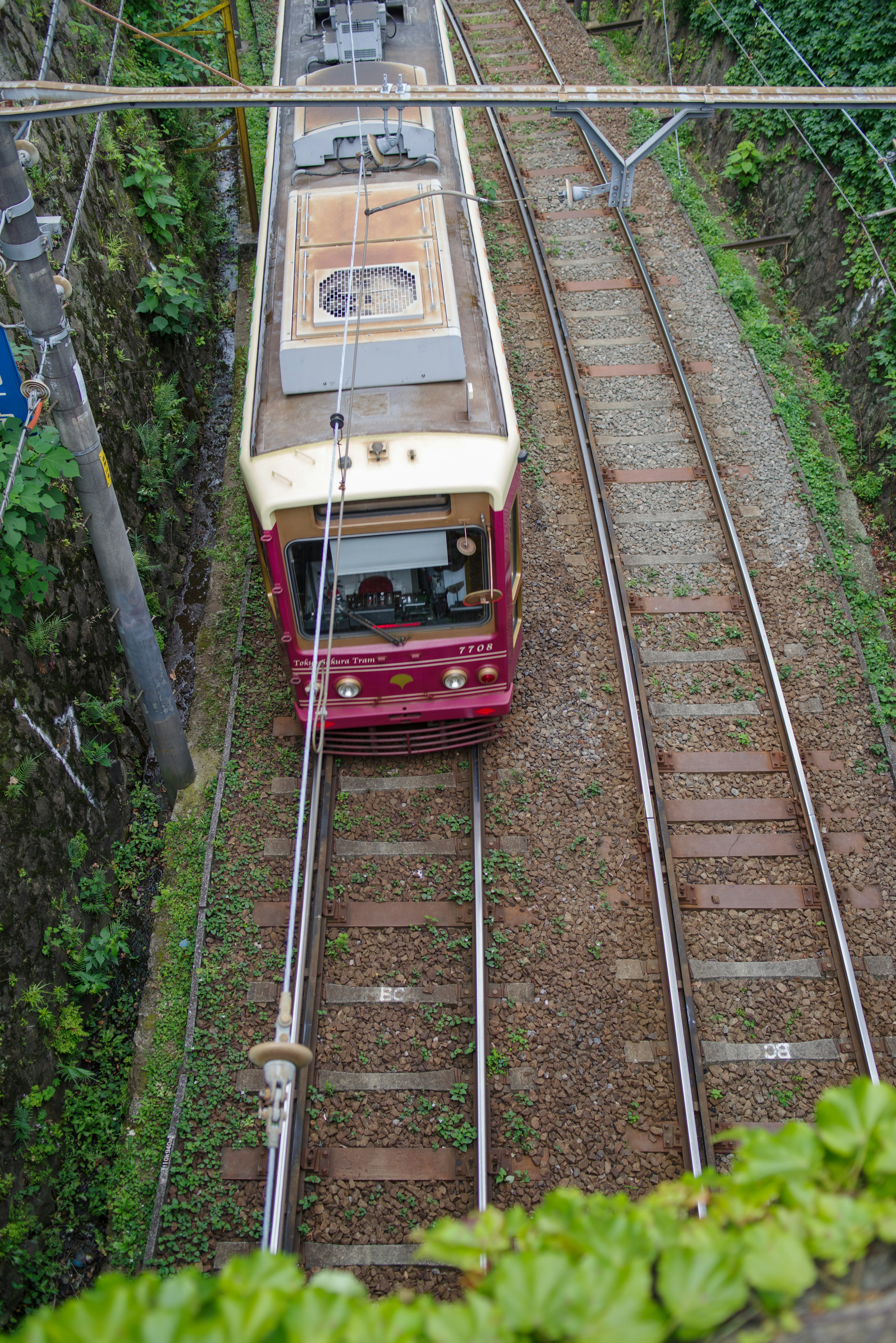 Train rouge passant à travers un tunnel vert