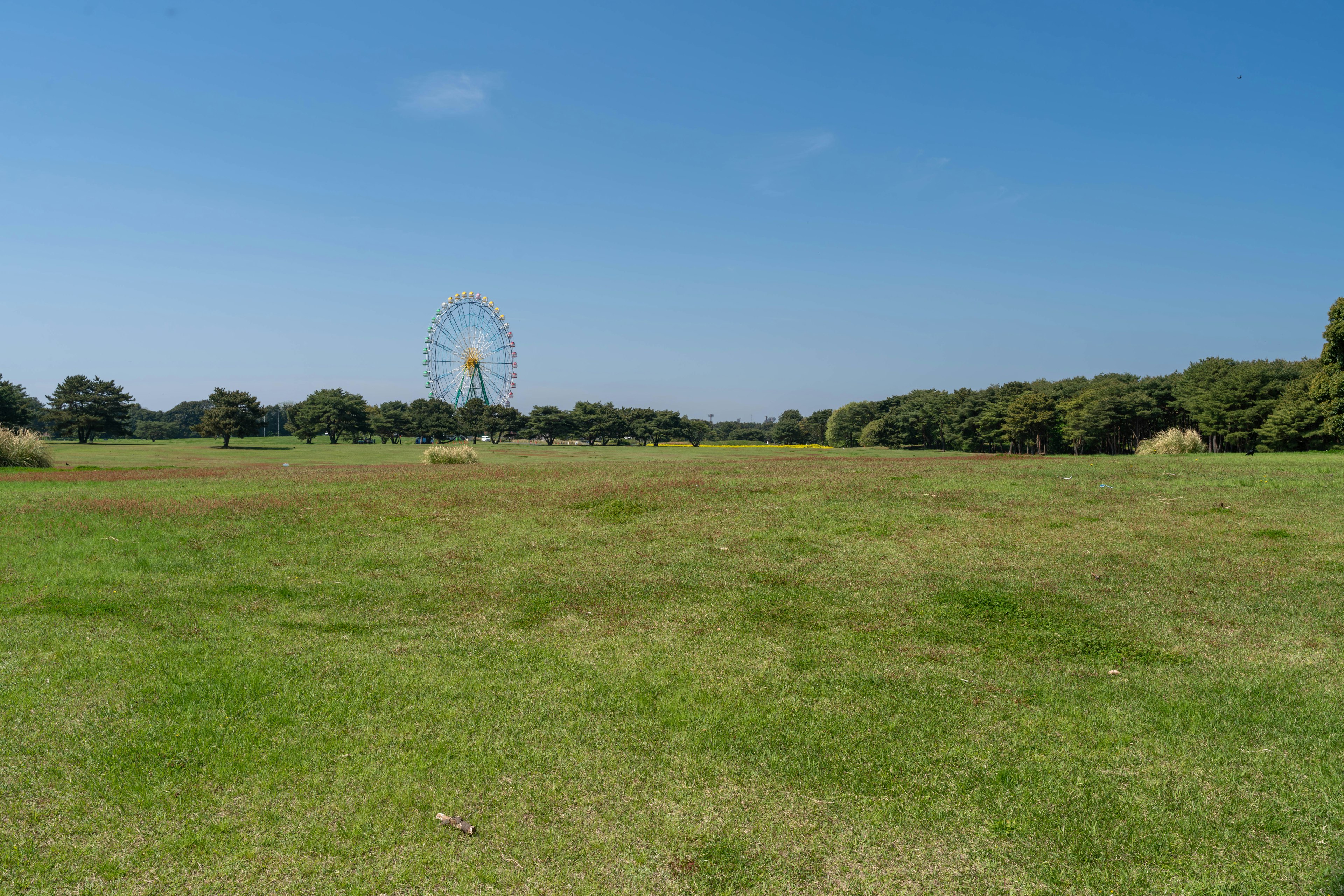 青空の下に広がる緑の草原と遠くに見える観覧車