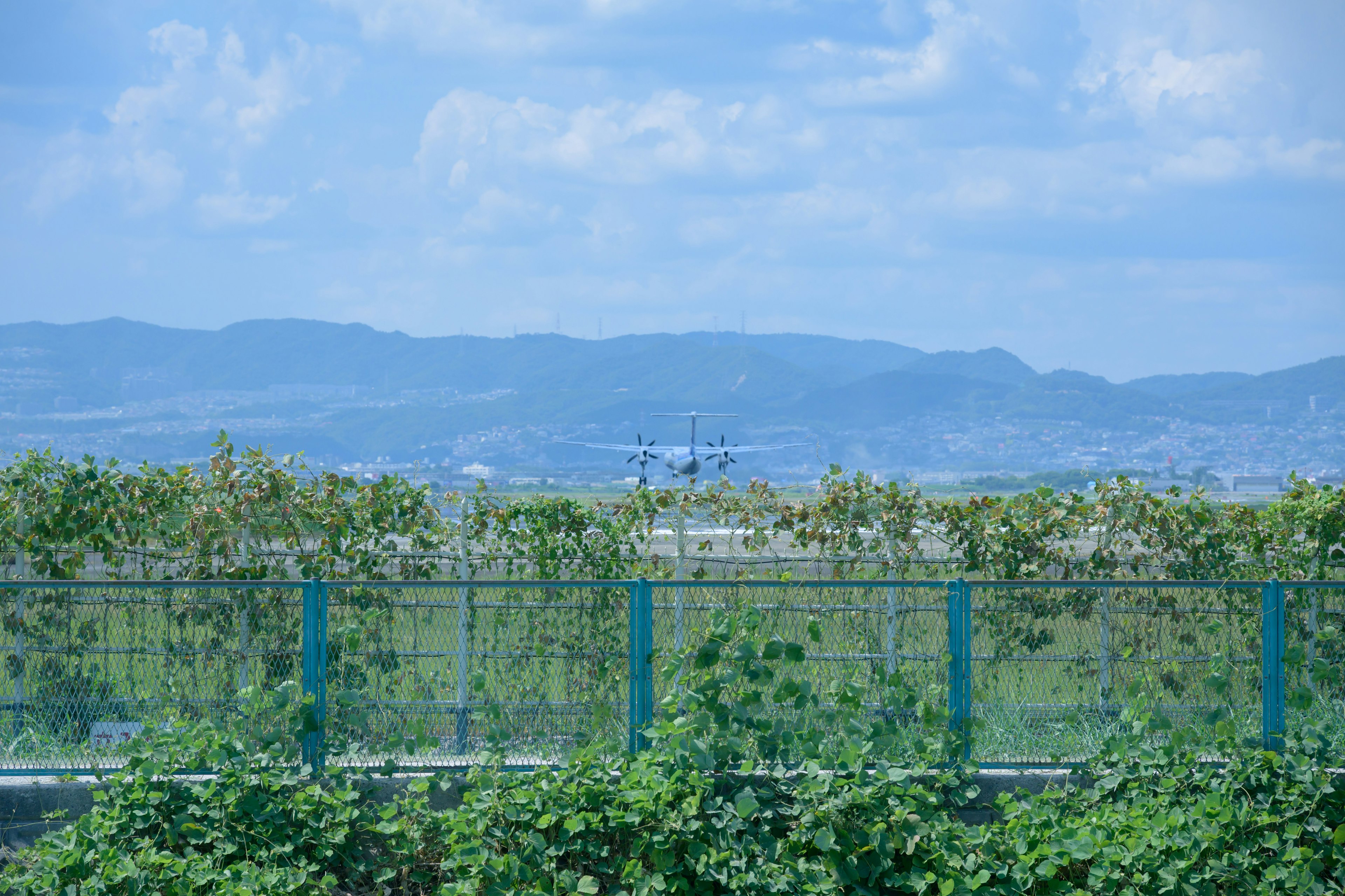 Une vue d'un avion au loin avec des plantes vertes et une clôture au premier plan sous un ciel bleu