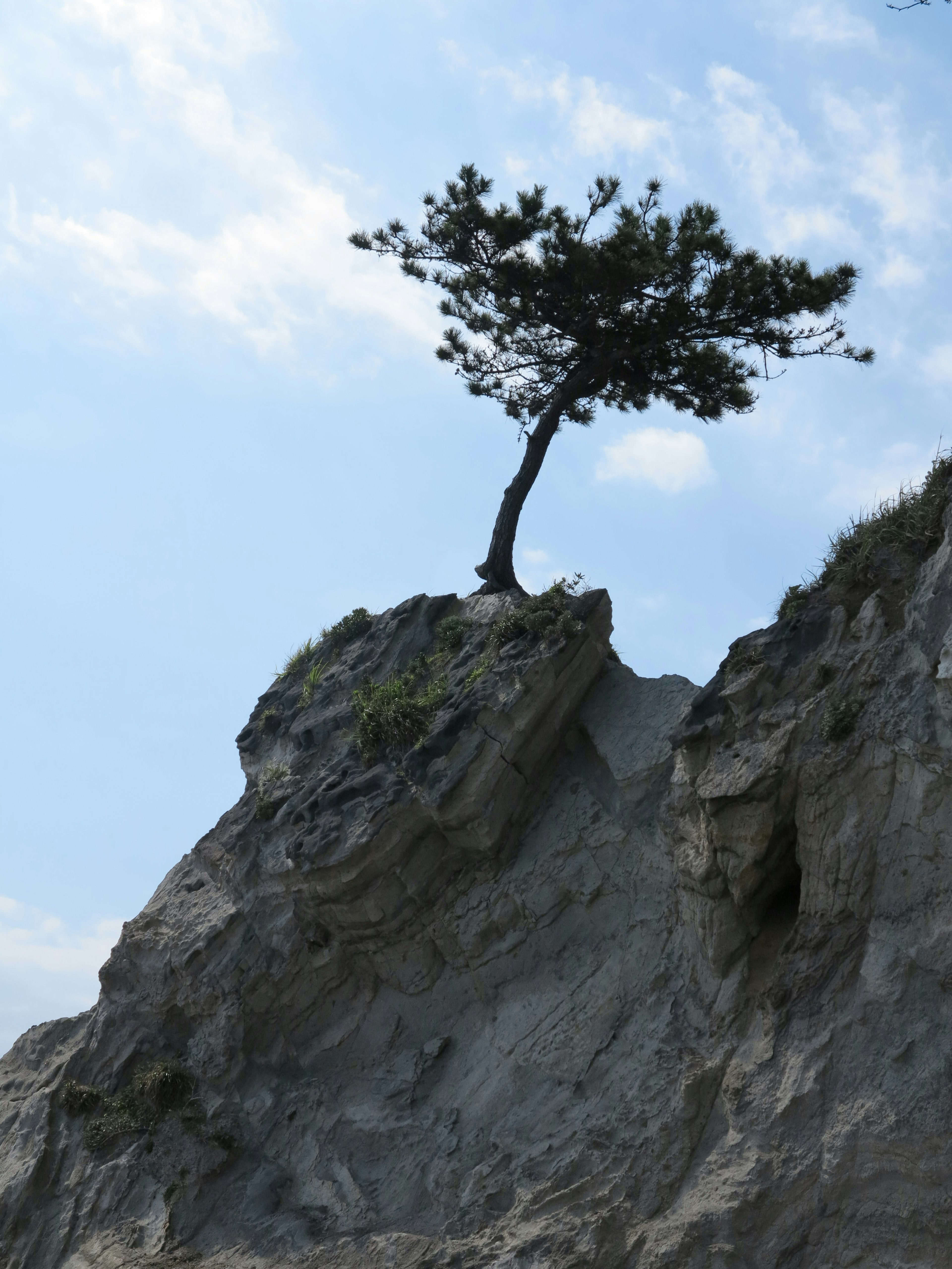 Un albero solitario su una scogliera rocciosa contro un cielo blu