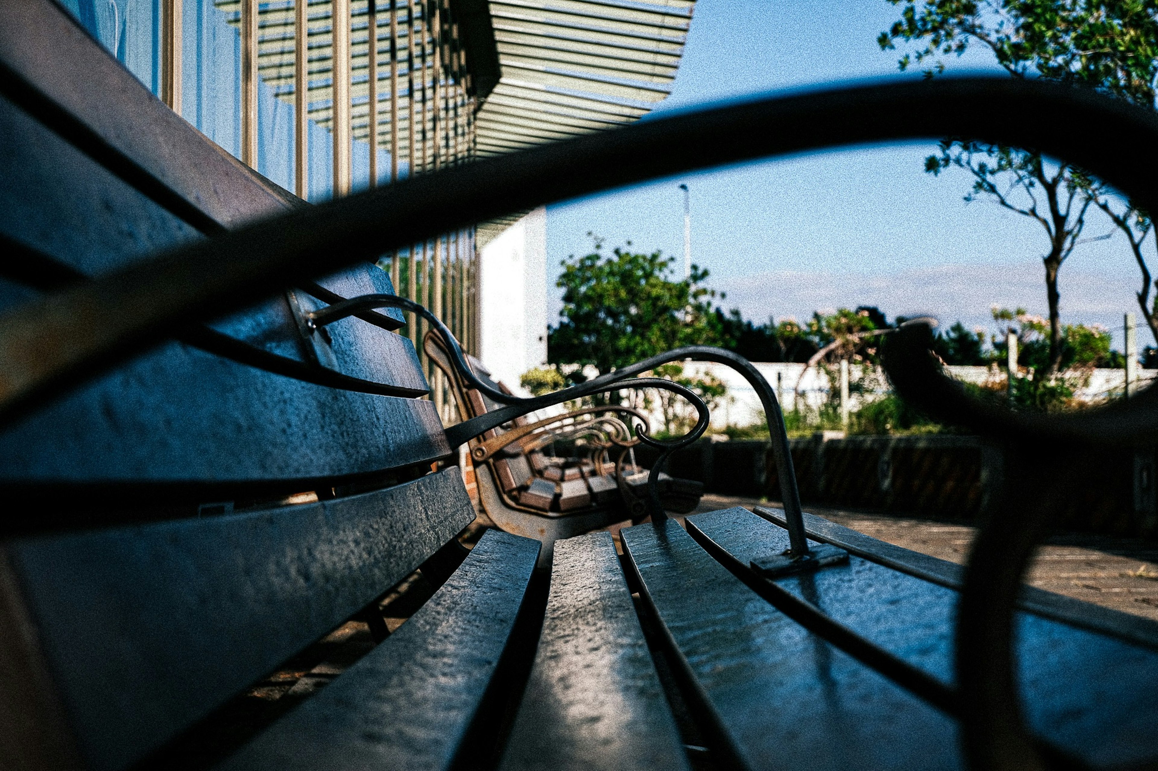 Close-up shot of a bench under blue sky with green trees