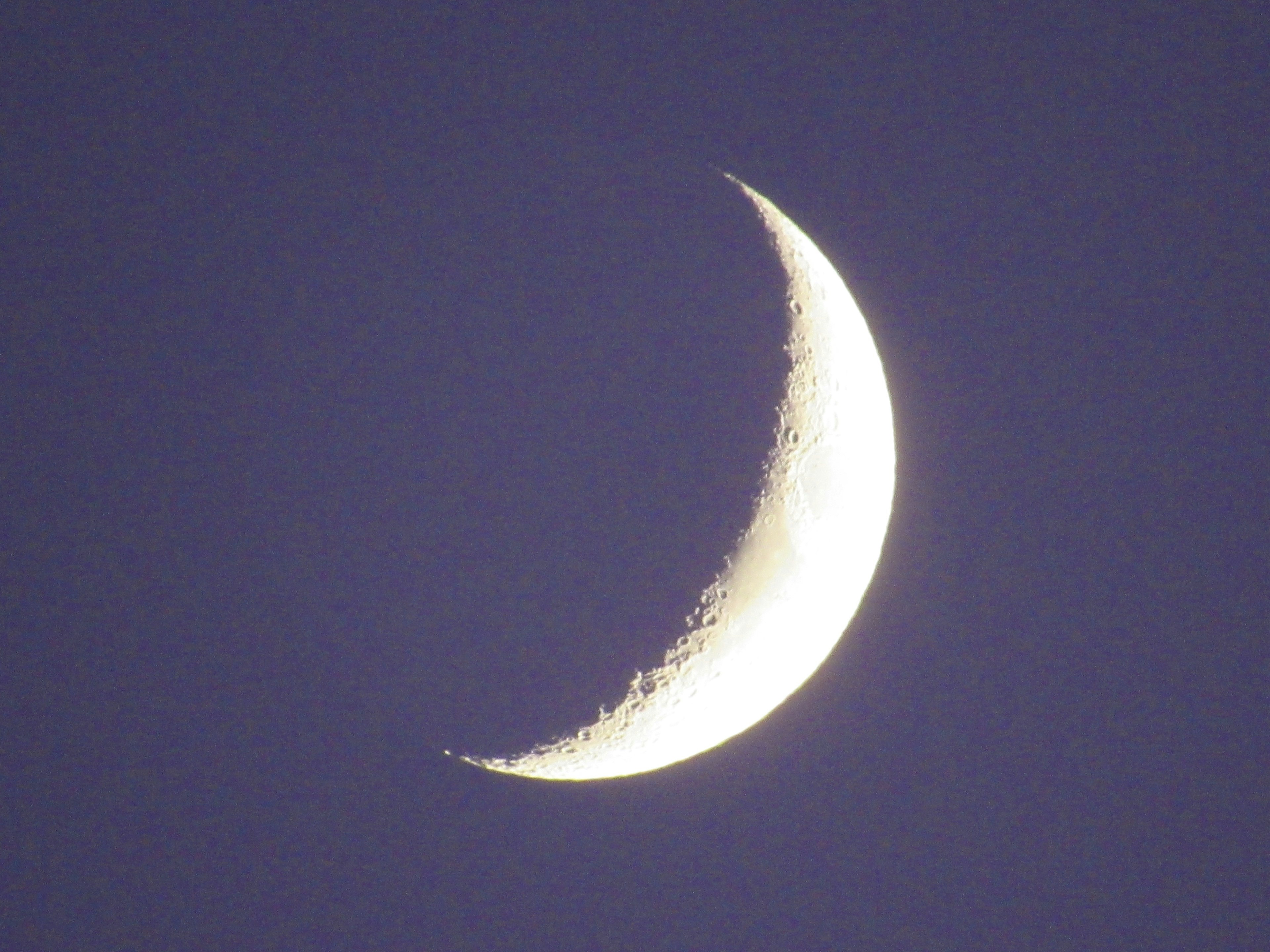 Sottile luna crescente in un cielo crepuscolare