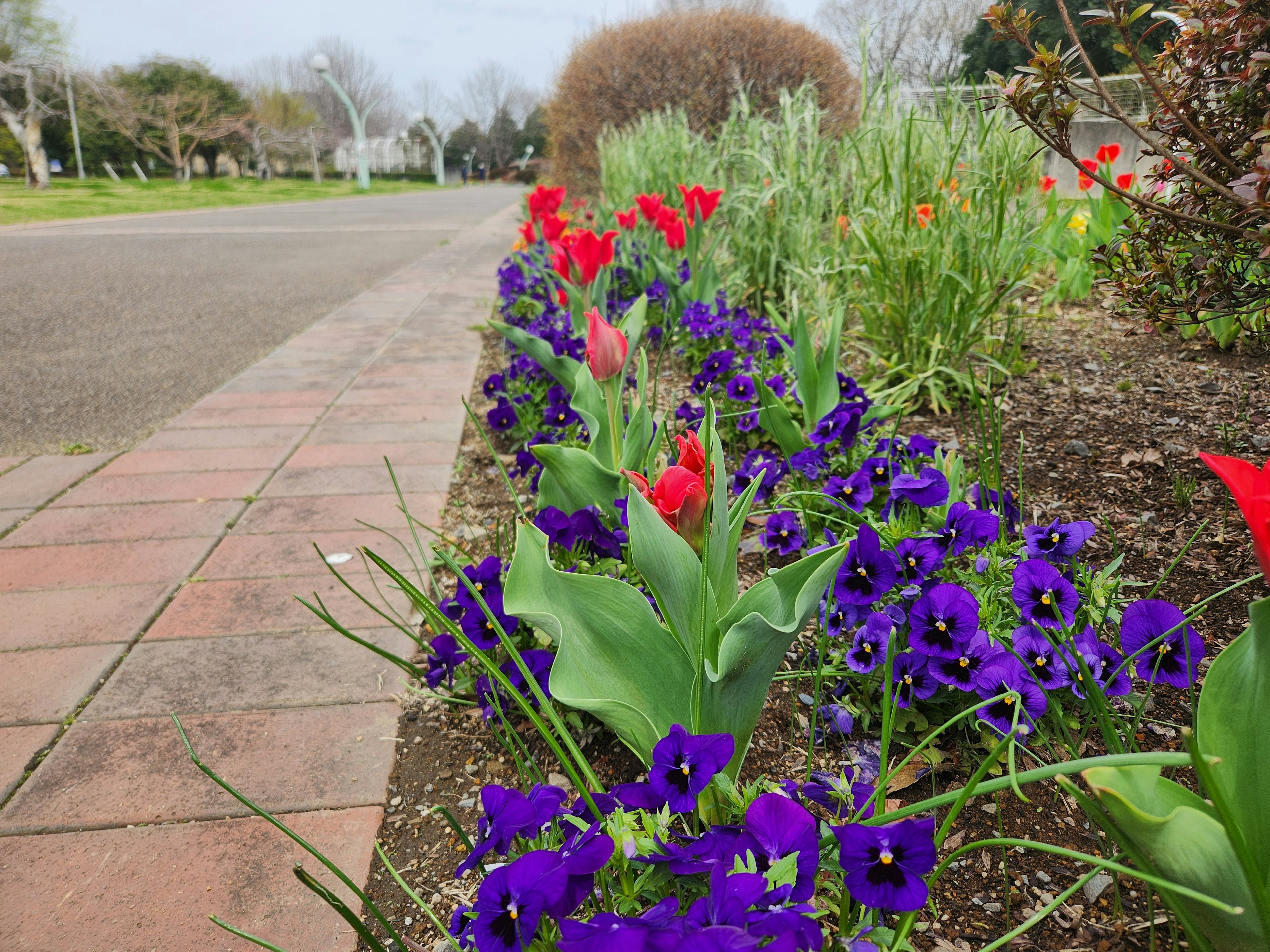 Bunte Blumen entlang eines Gartenweges