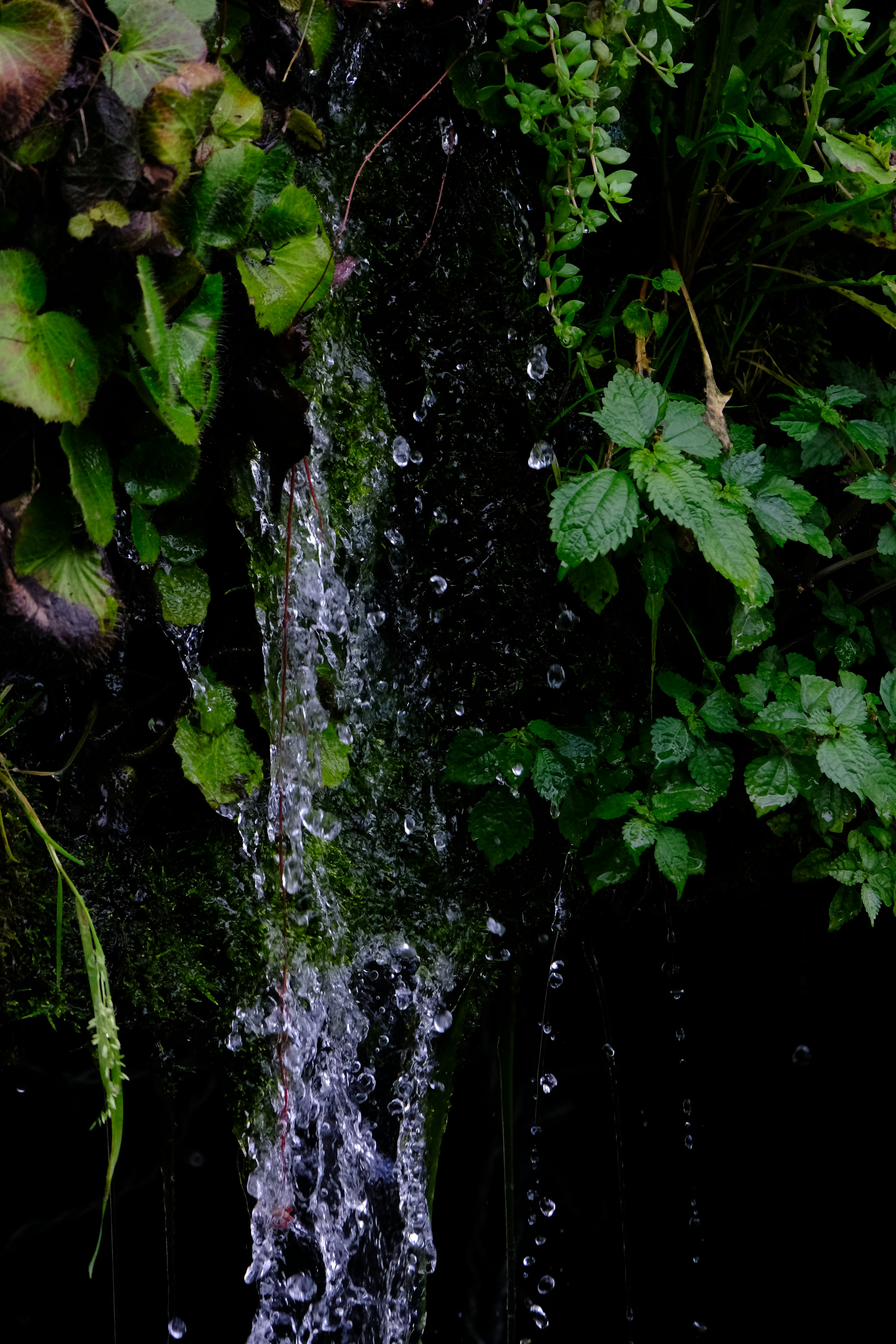 緑の植物に囲まれた小さな滝が水を流している