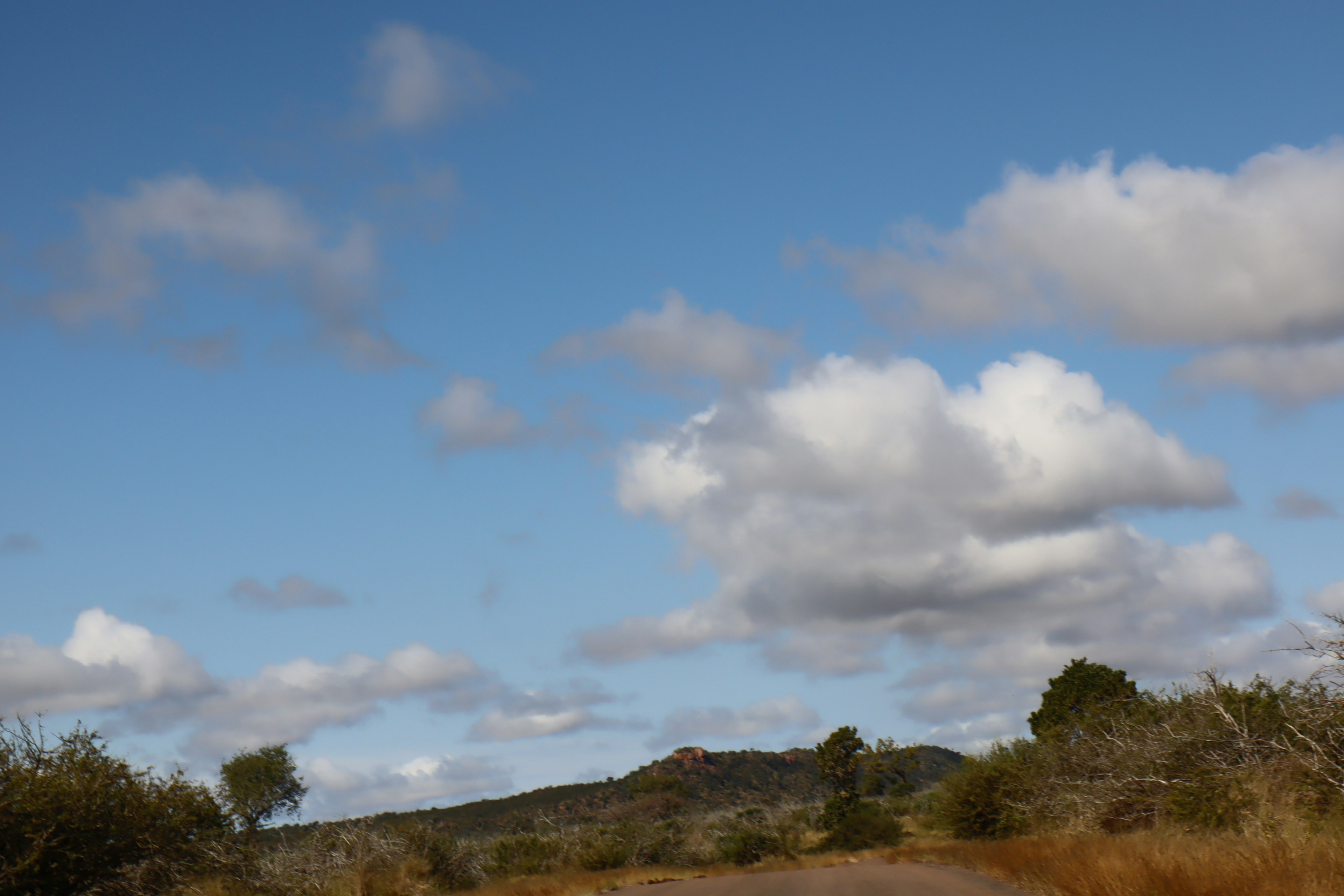 Paisaje con cielo azul y nubes blancas que presenta praderas secas y colinas bajas