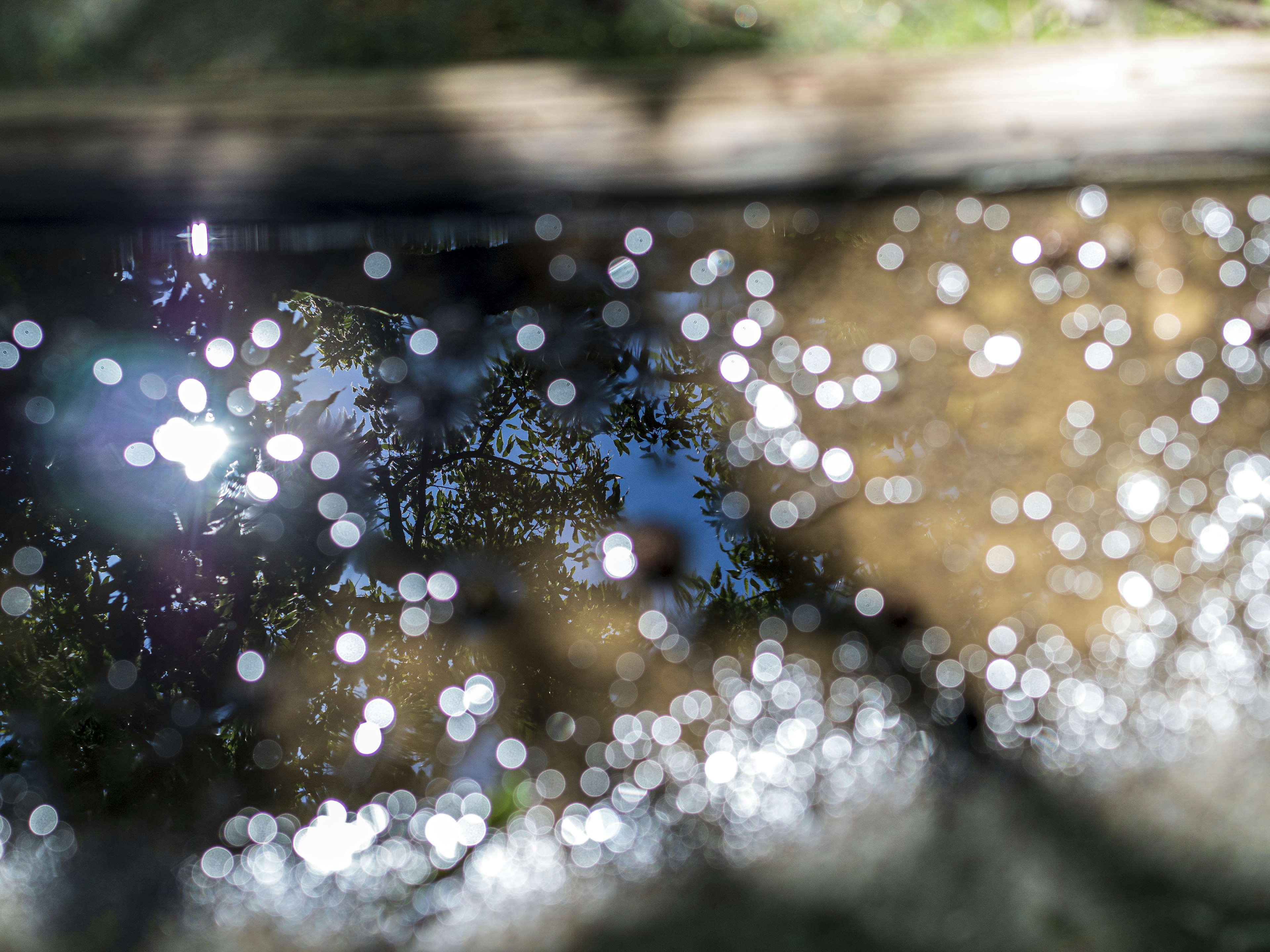 Riflessi di punti luminosi sulla superficie dell'acqua con la natura circostante