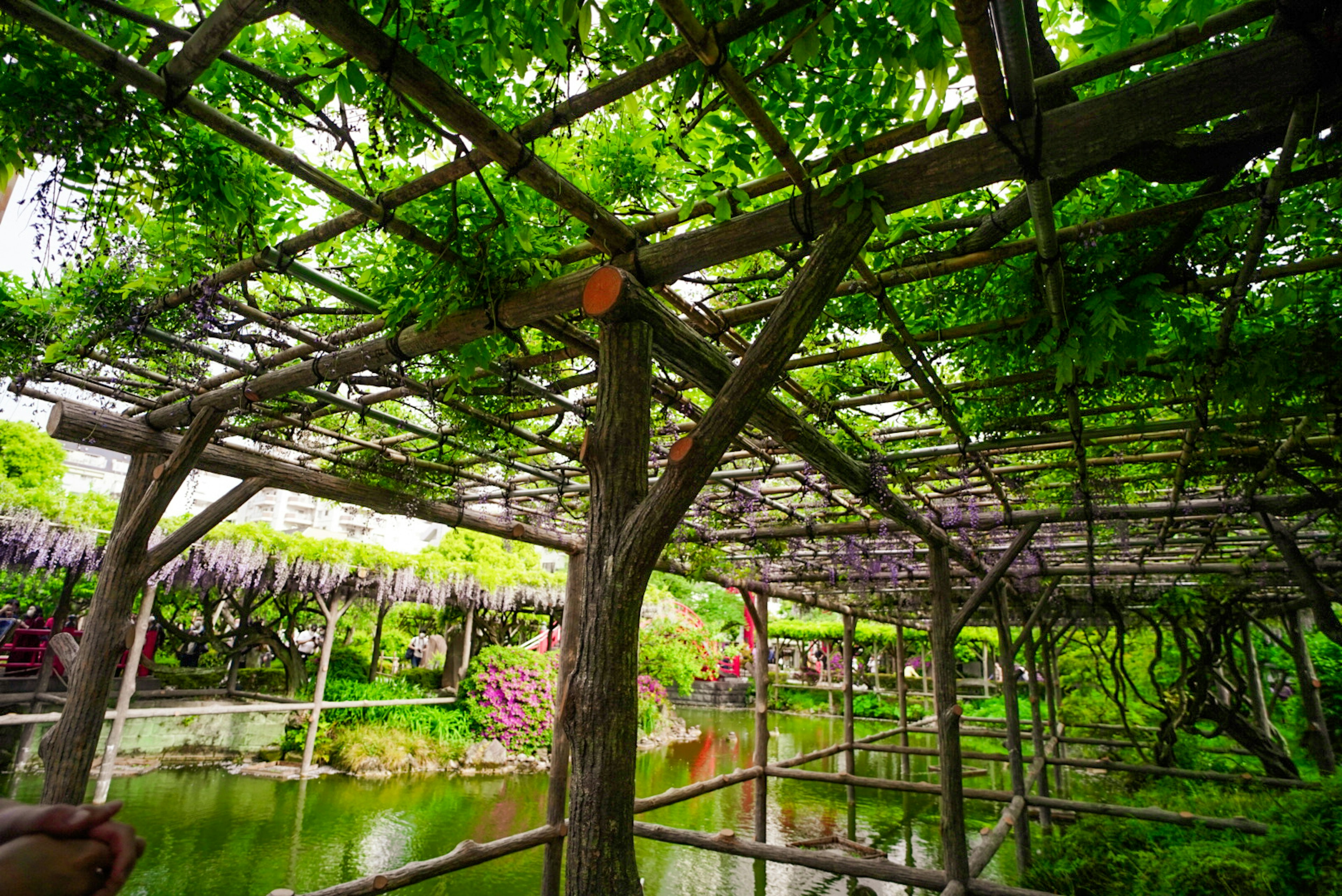 Estructura de jardín exuberante con vegetación y fuente de agua