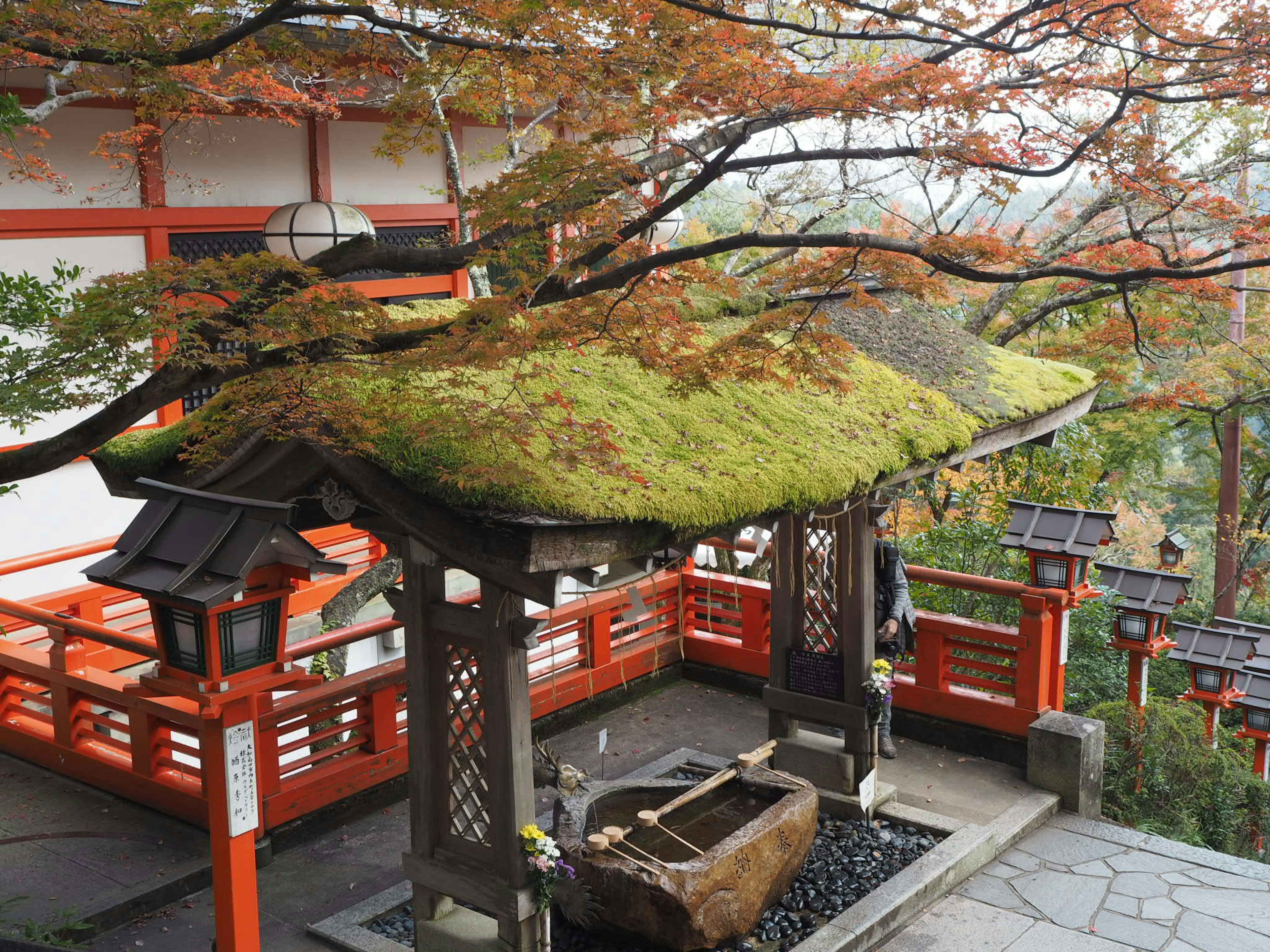 苔むした屋根のある伝統的な日本の建物と紅葉した木々