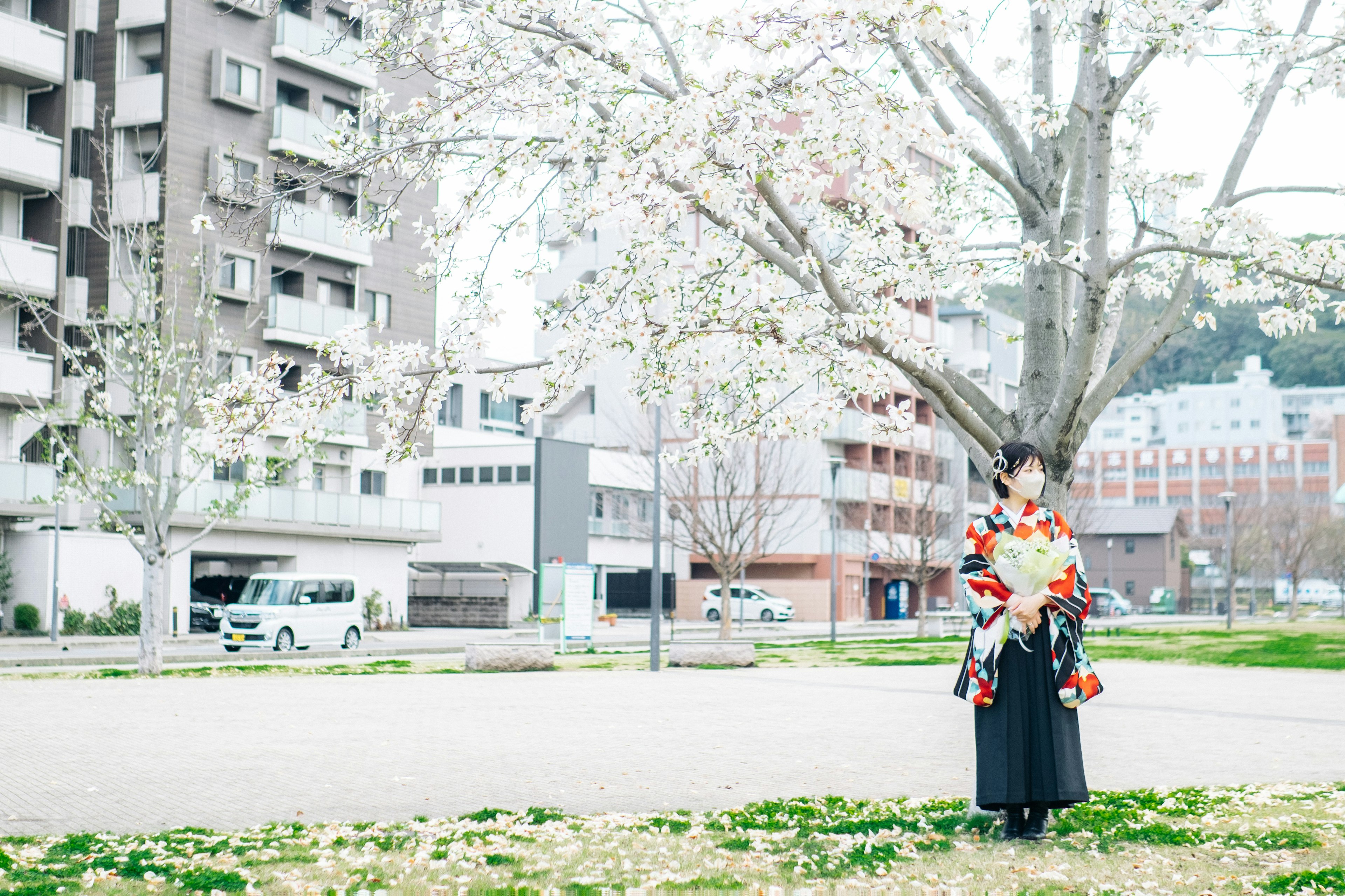 桜の木の下に立つ伝統的な衣装を着た女性