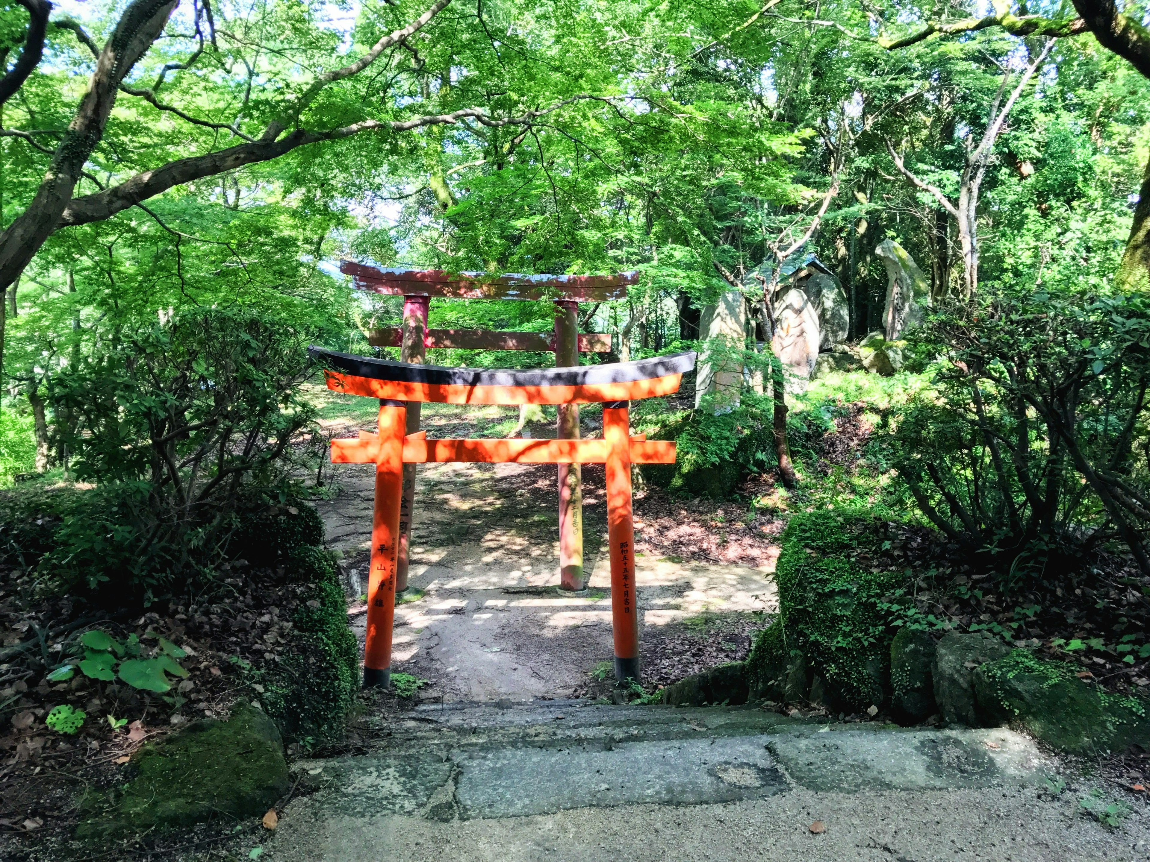 Portale torii arancione in un giardino verdeggiante con scale in pietra