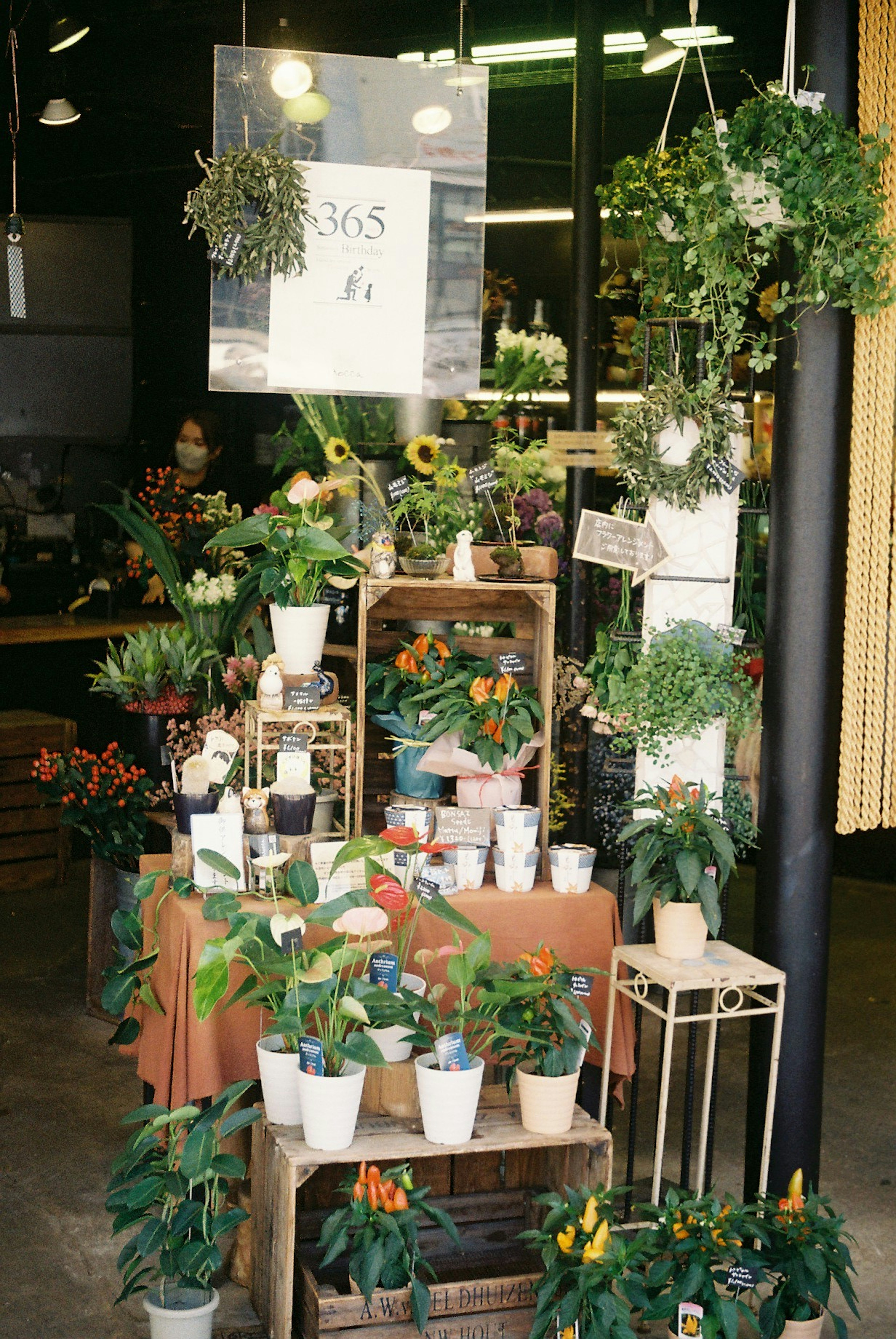 店内での多様な観葉植物と花が並んだディスプレイ