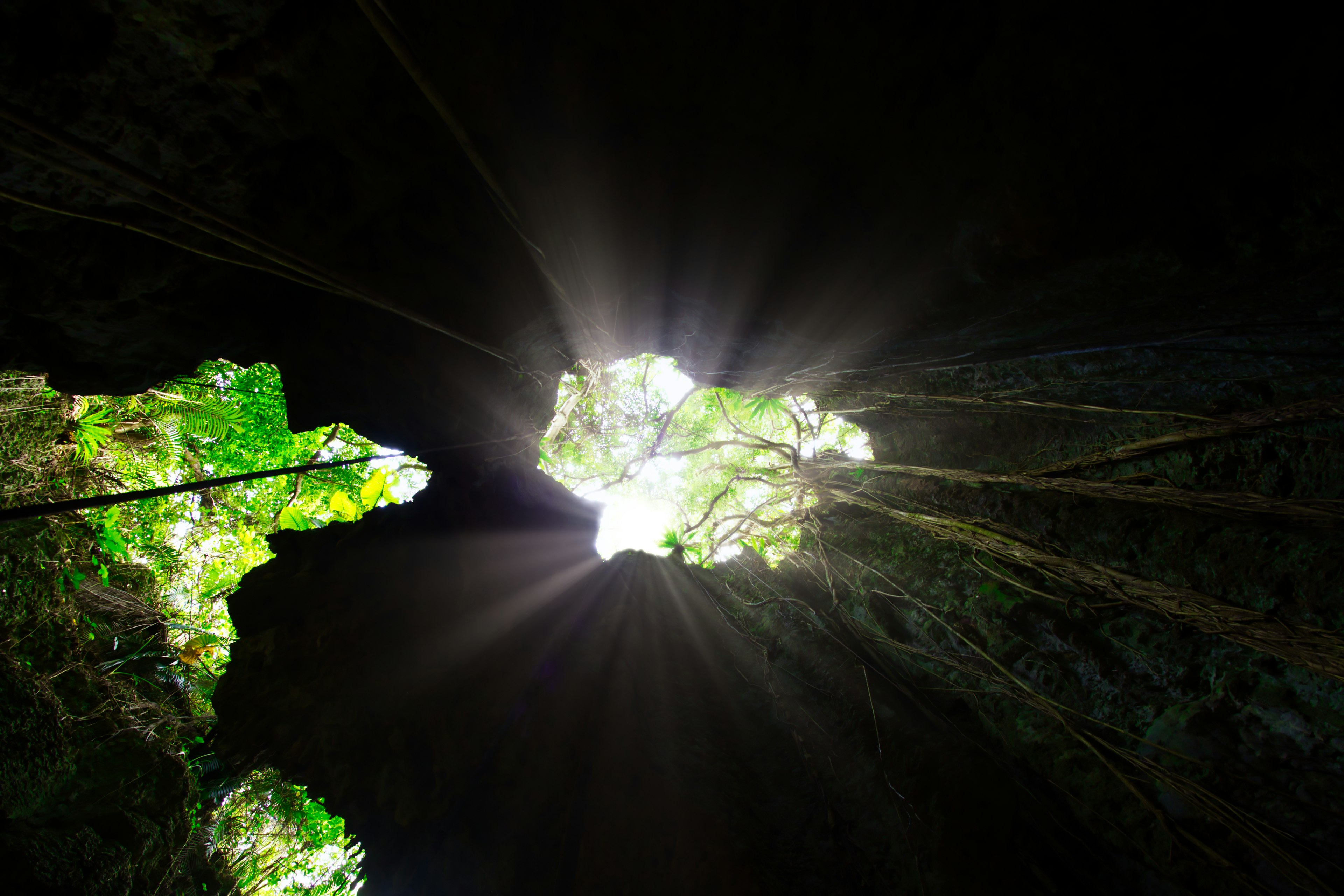 Blick von innen in eine Höhle nach oben mit Licht, das durch grünes Laub scheint