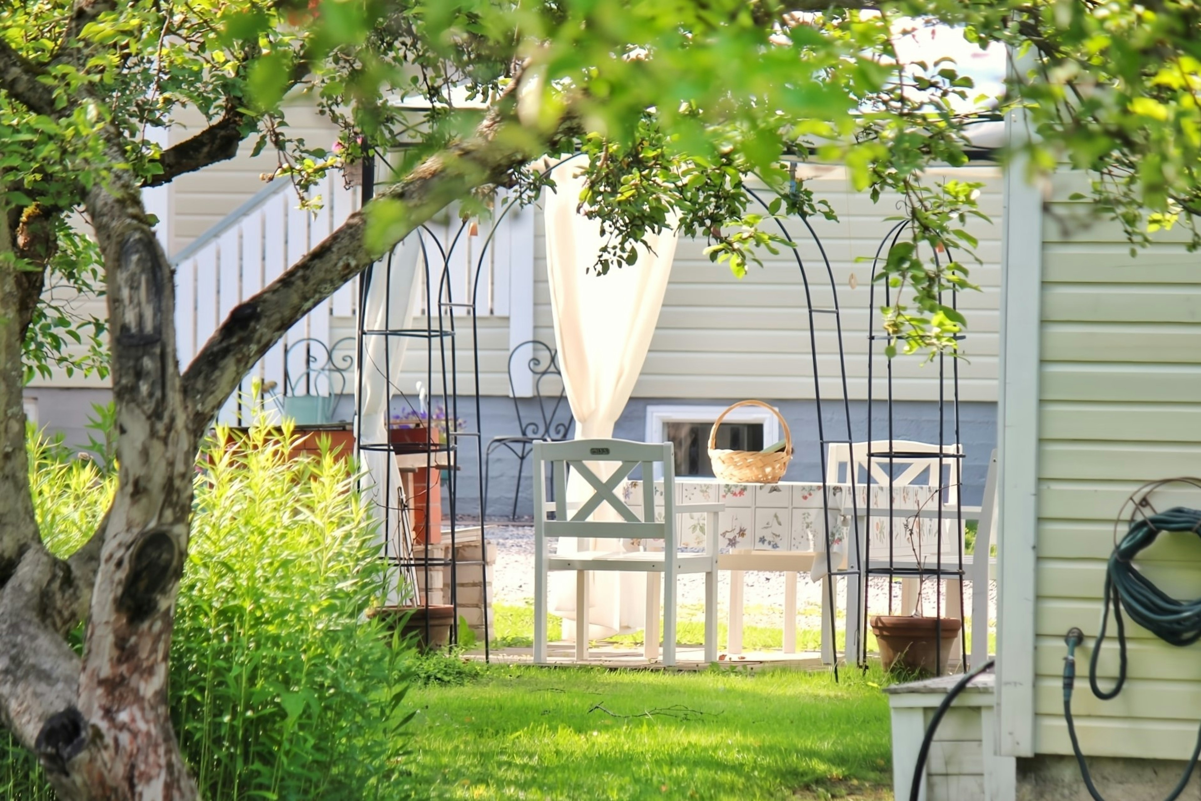 Üppiger Garten mit einem weißen Gartenbogen und einem Holzzaun