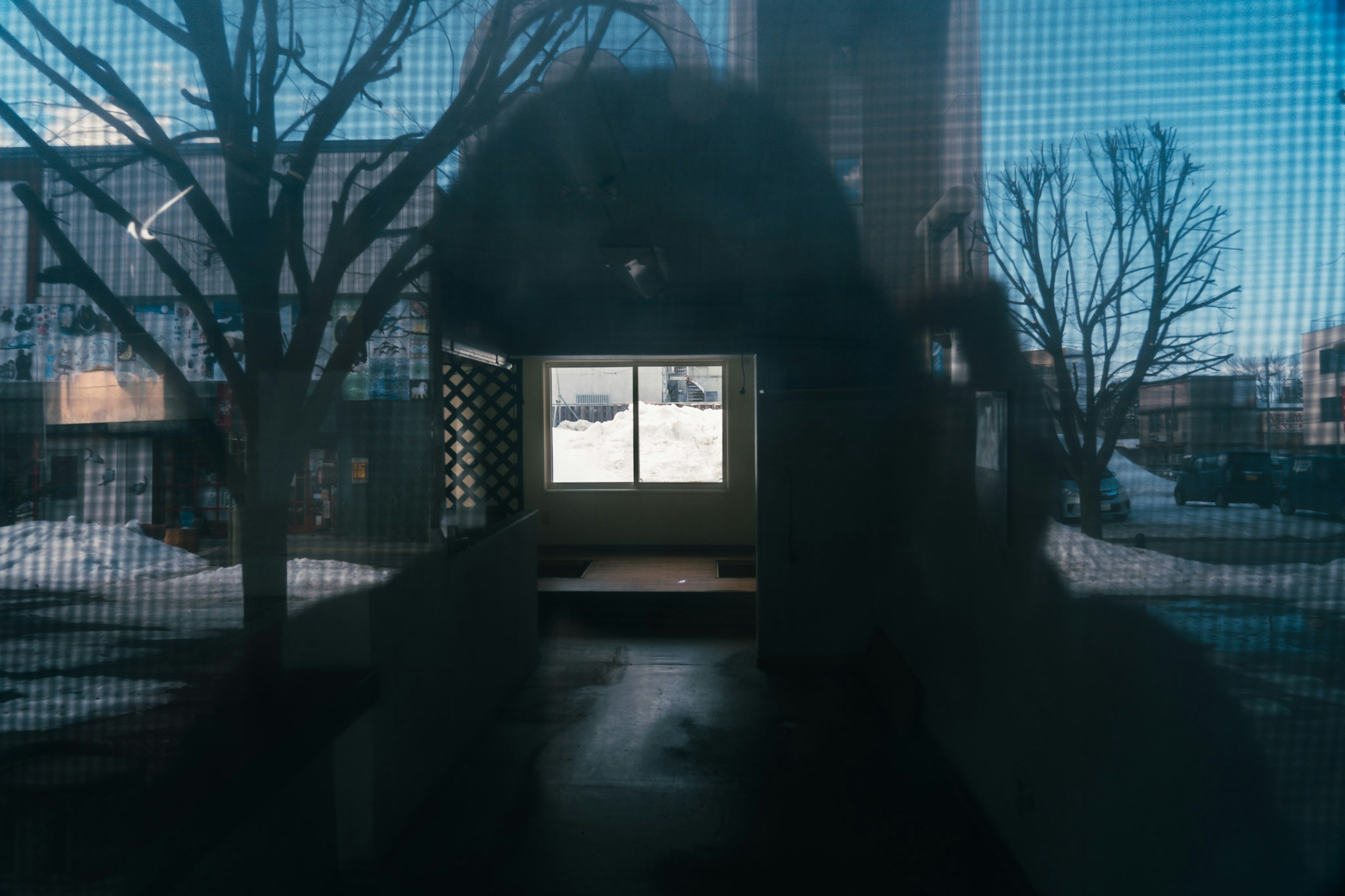 Snowy landscape visible through a window with tree shadows