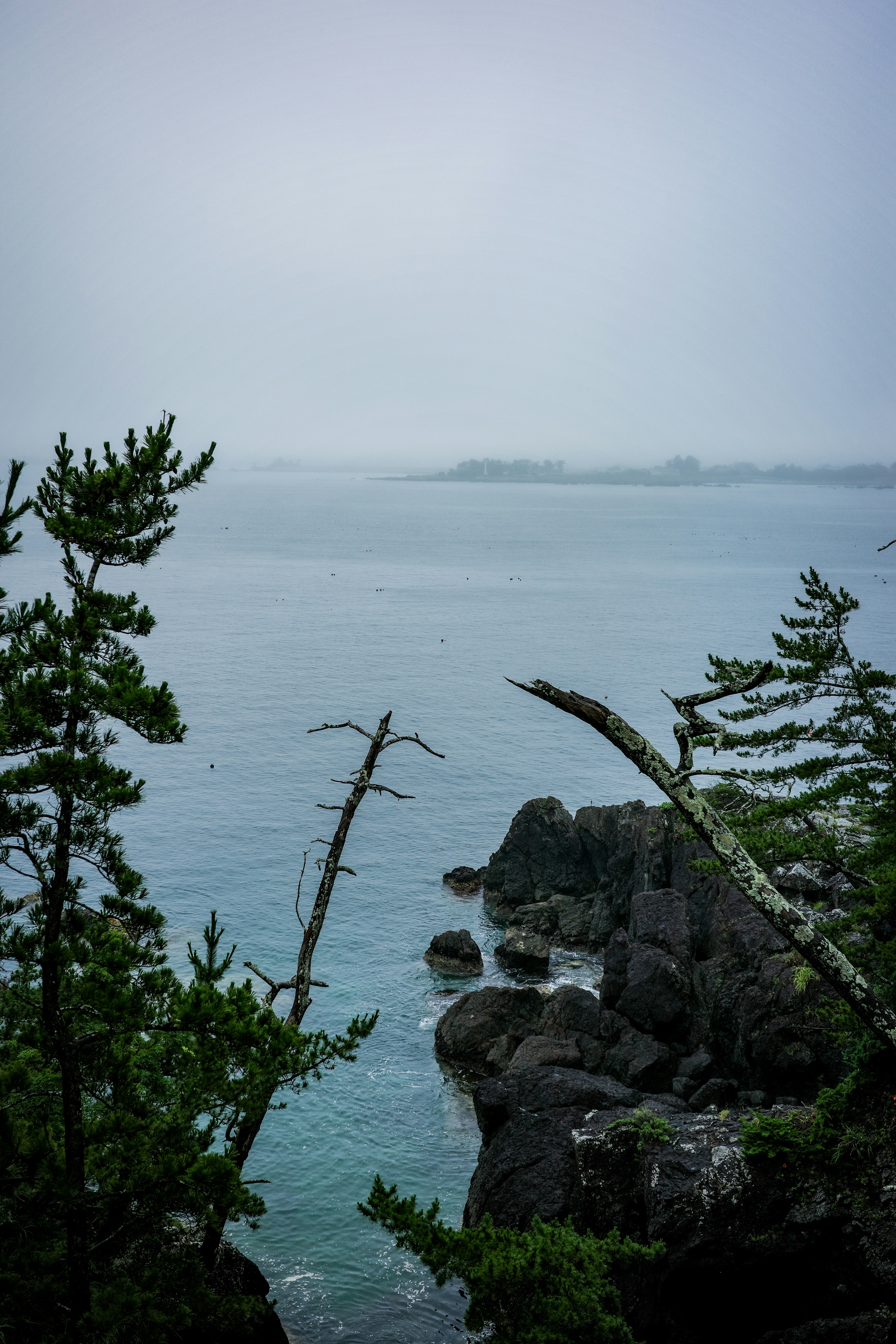 静かな海と岩の景色に木々が立ち並ぶ風景