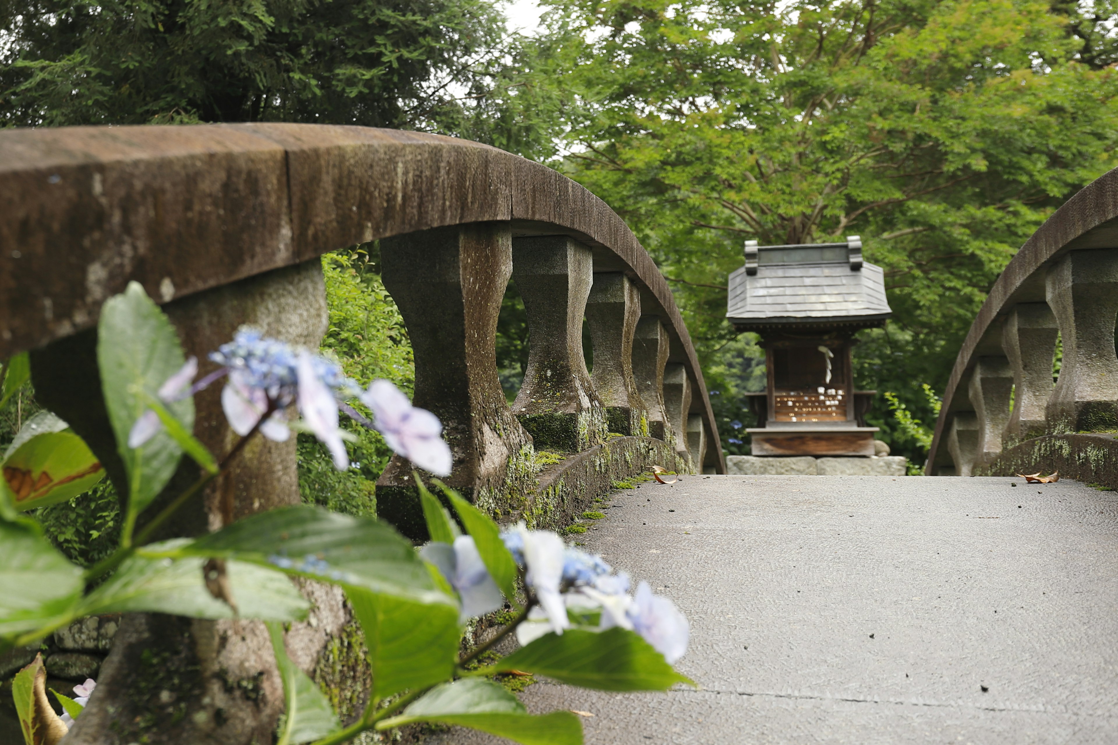 古い橋と花がある静かな風景