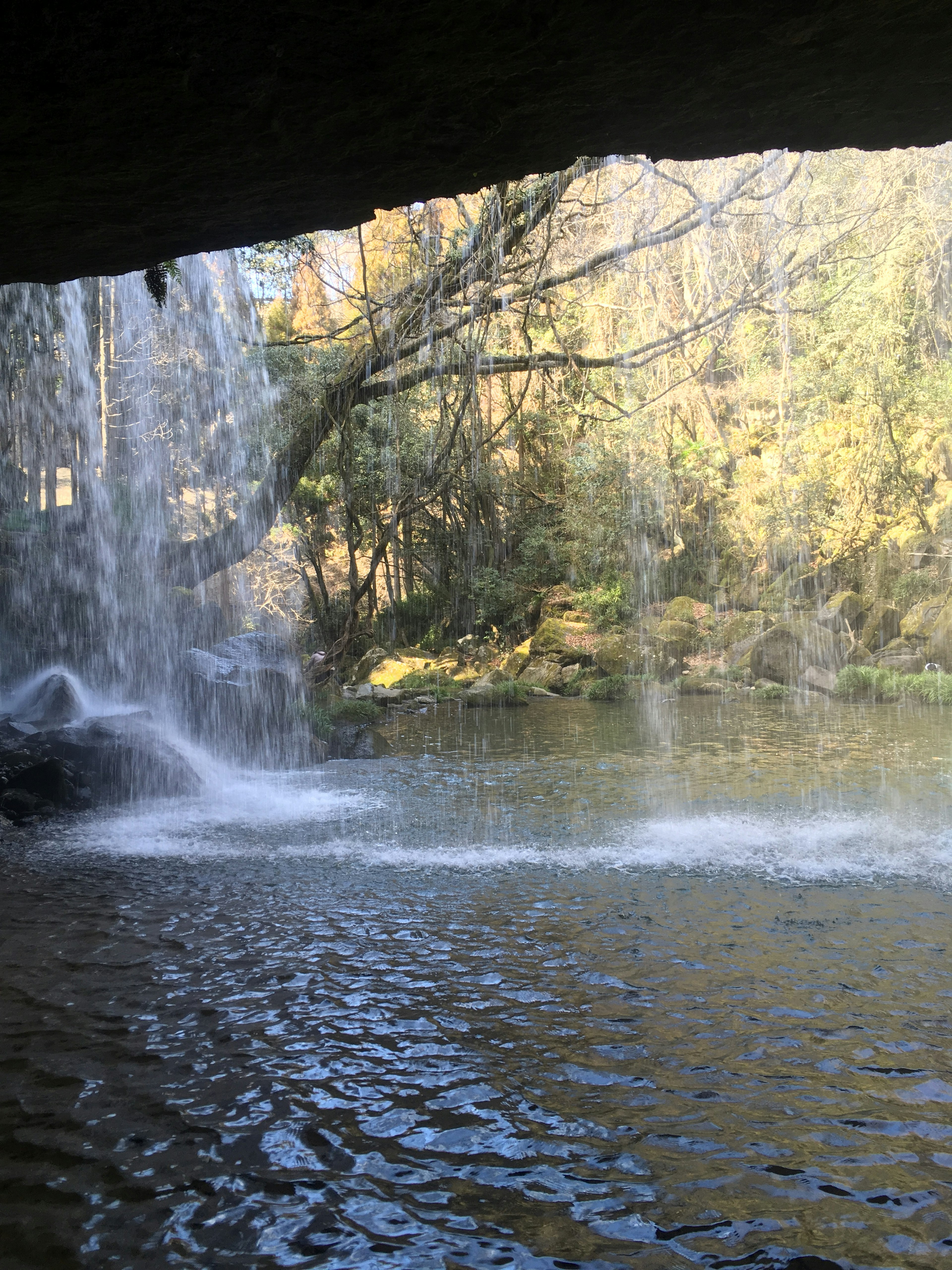 Vista panoramica da dietro una cascata Superficie dell'acqua che riflette la luce Alberi verdi e tonalità naturali