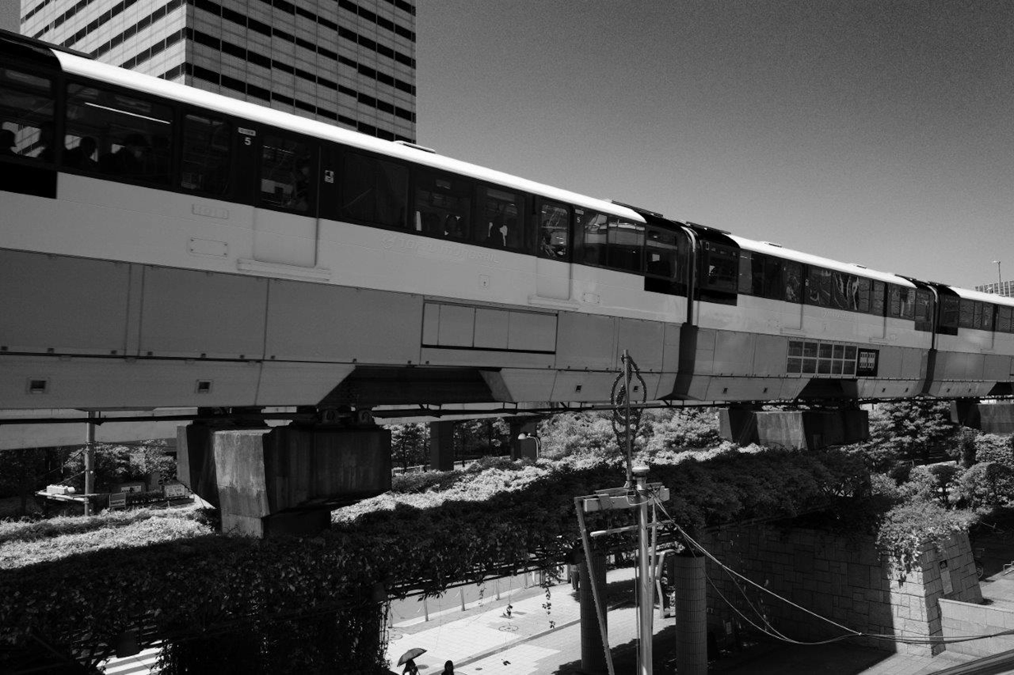 Monorail circulant sur une voie élevée dans un cadre urbain