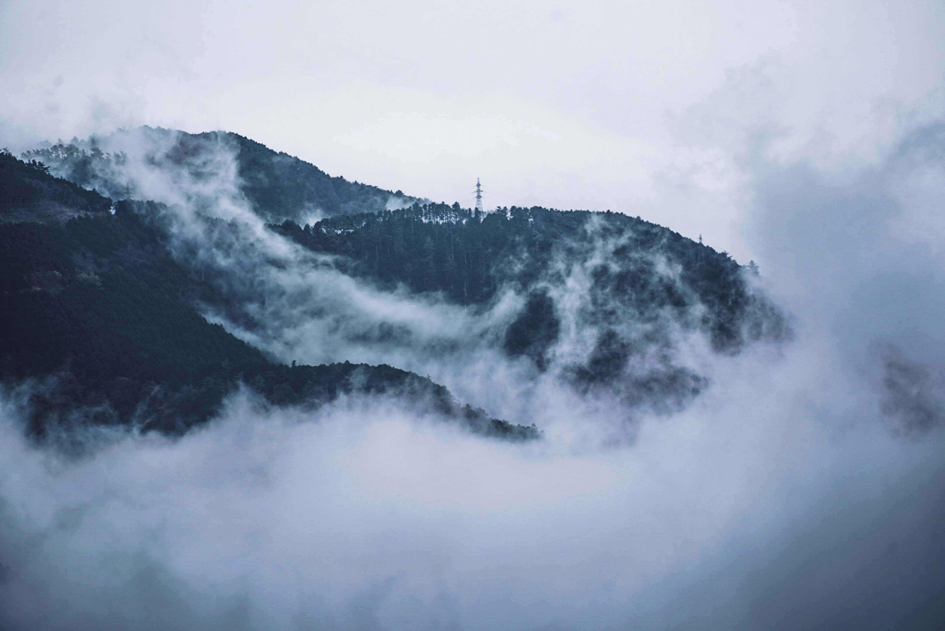 霧に包まれた山の風景