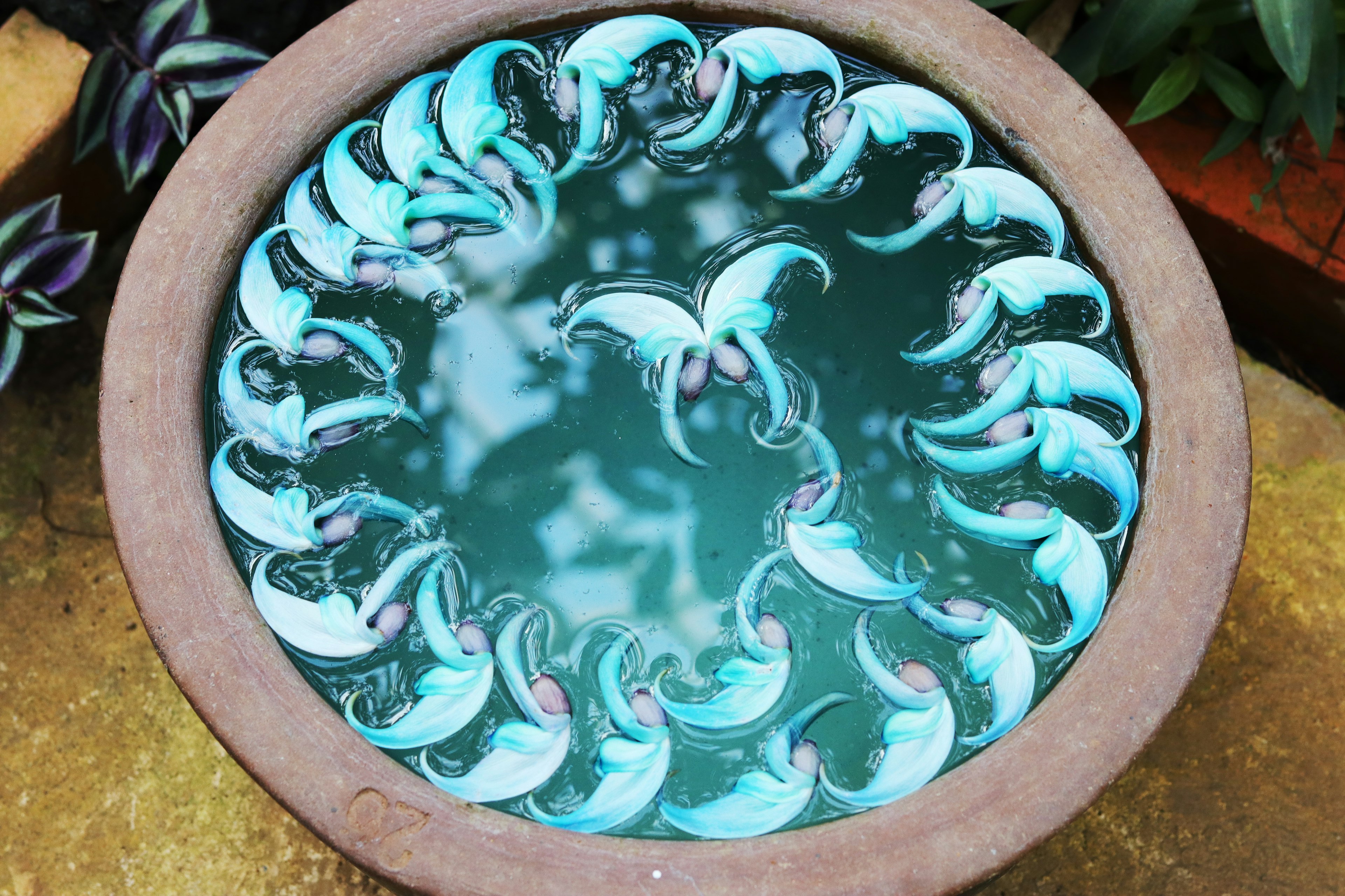 Decorative elements arranged in a circular pattern in a blue water-filled ceramic bowl