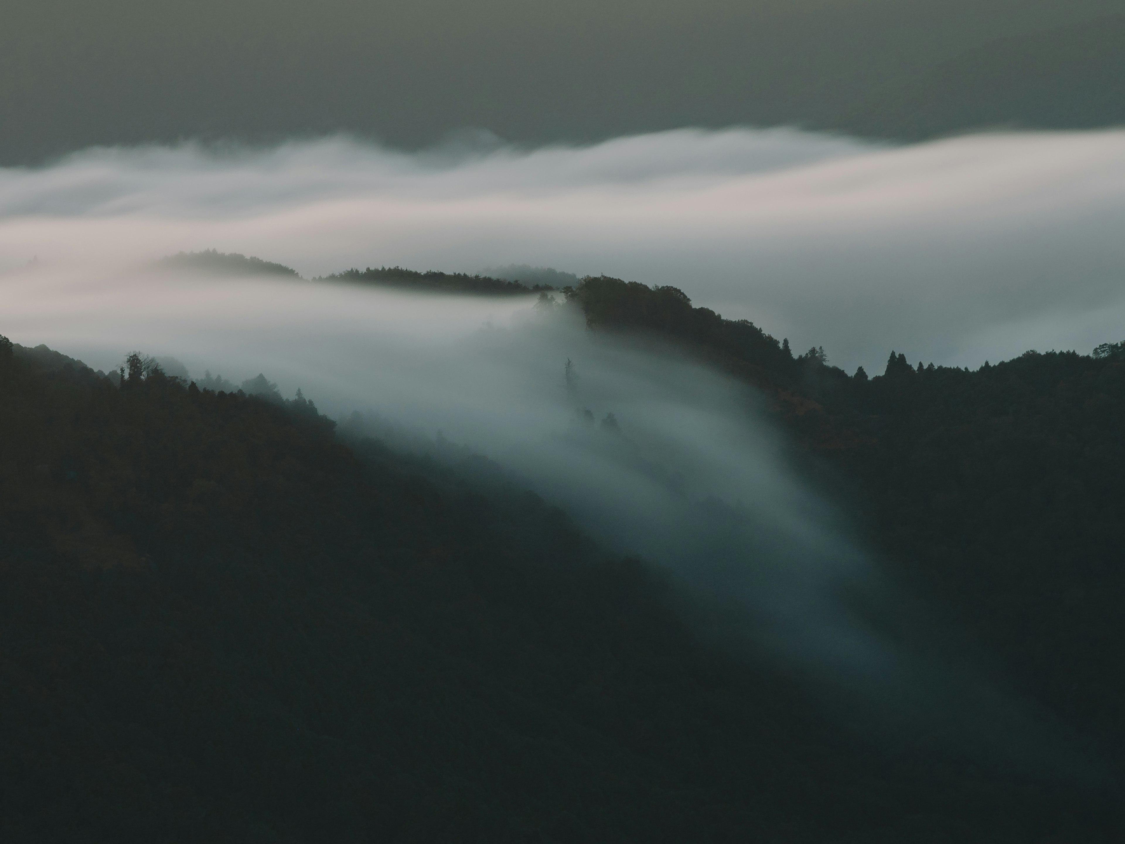 被霧氣籠罩的山丘風景