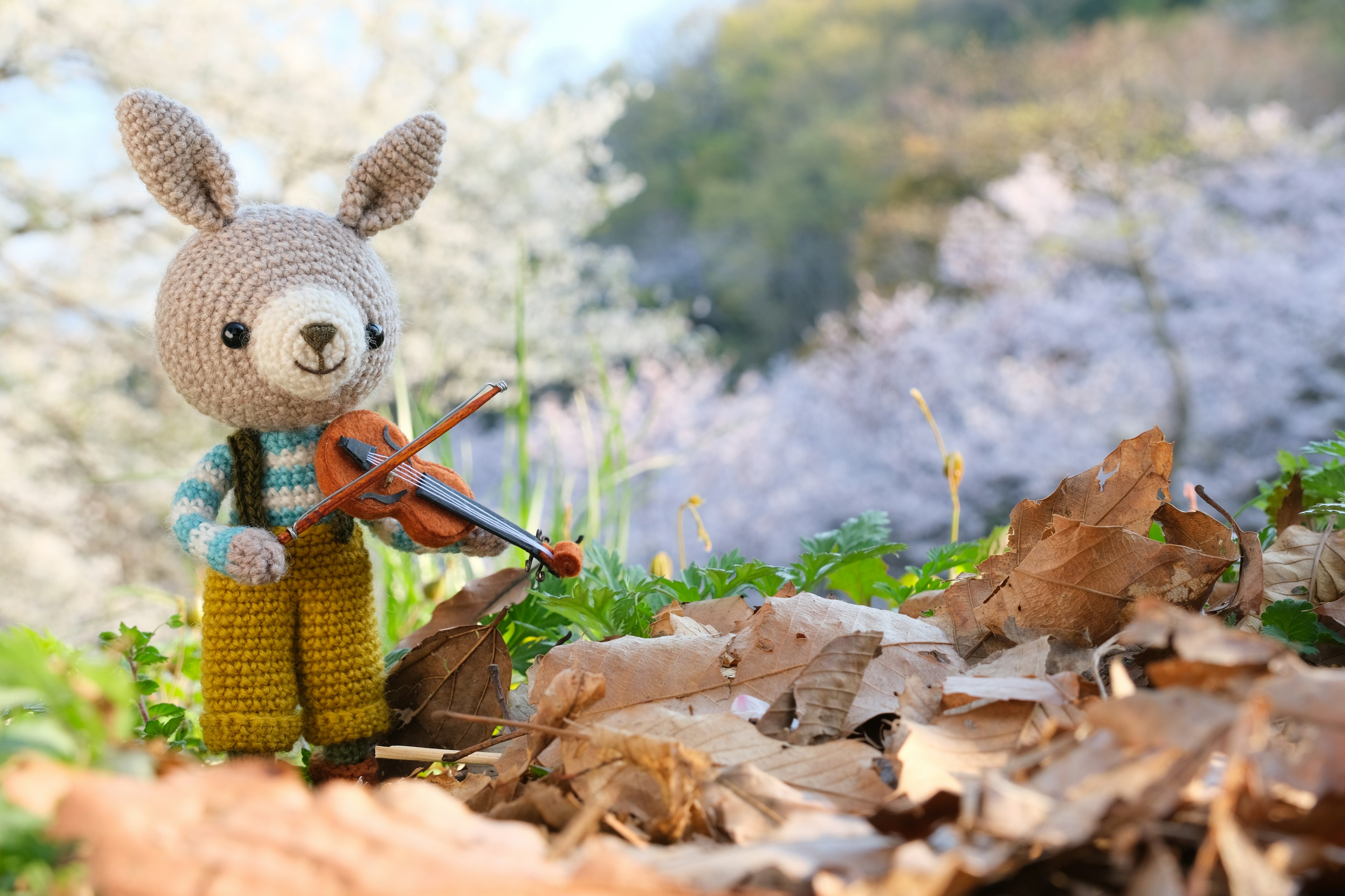 Ein Hase-Plüschspielzeug, das in einer Frühlingslandschaft Geige spielt