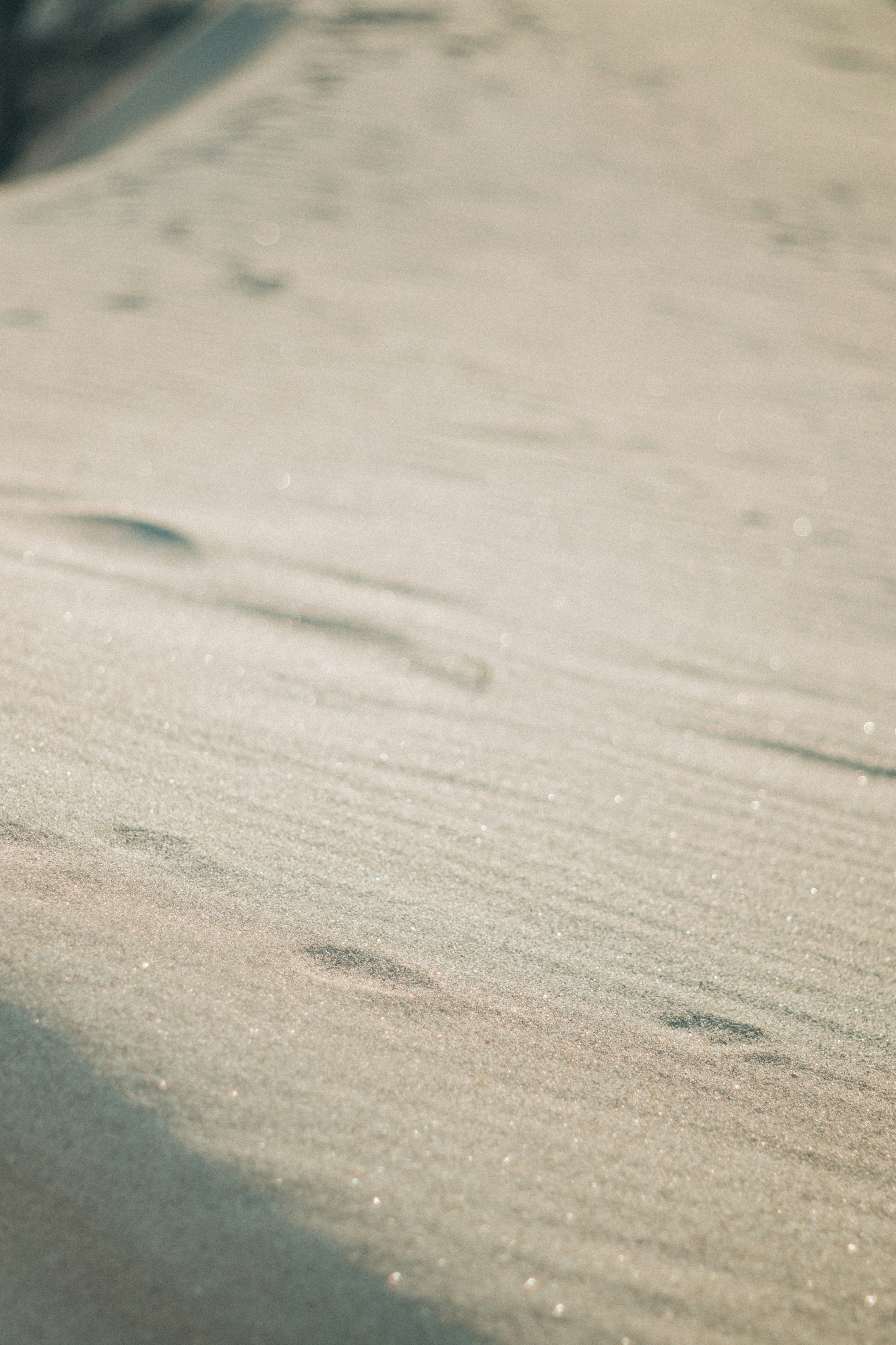 Texture morbida della sabbia della spiaggia con motivi sottili e ombre