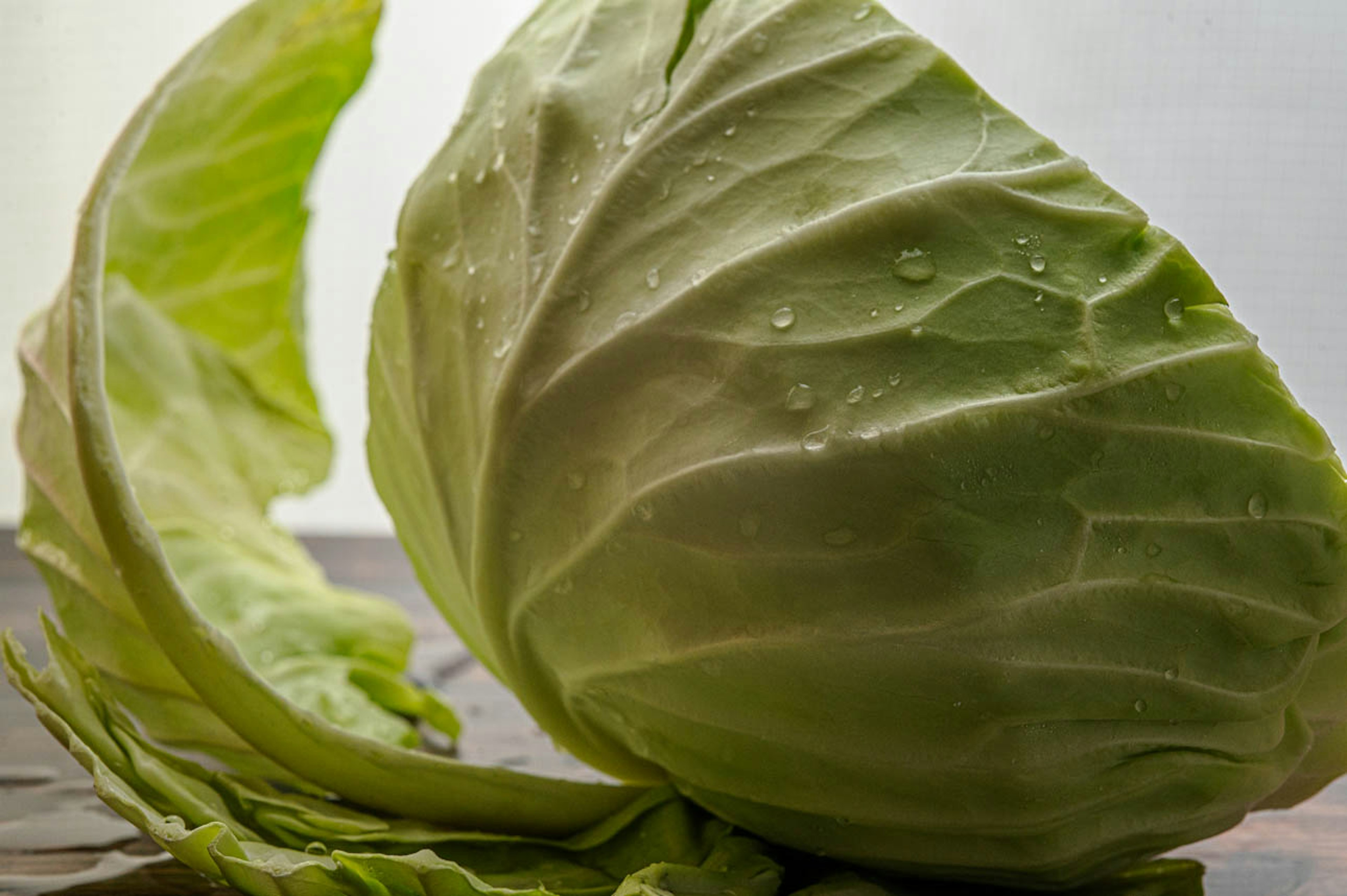 Fresh cabbage leaf with droplets of water