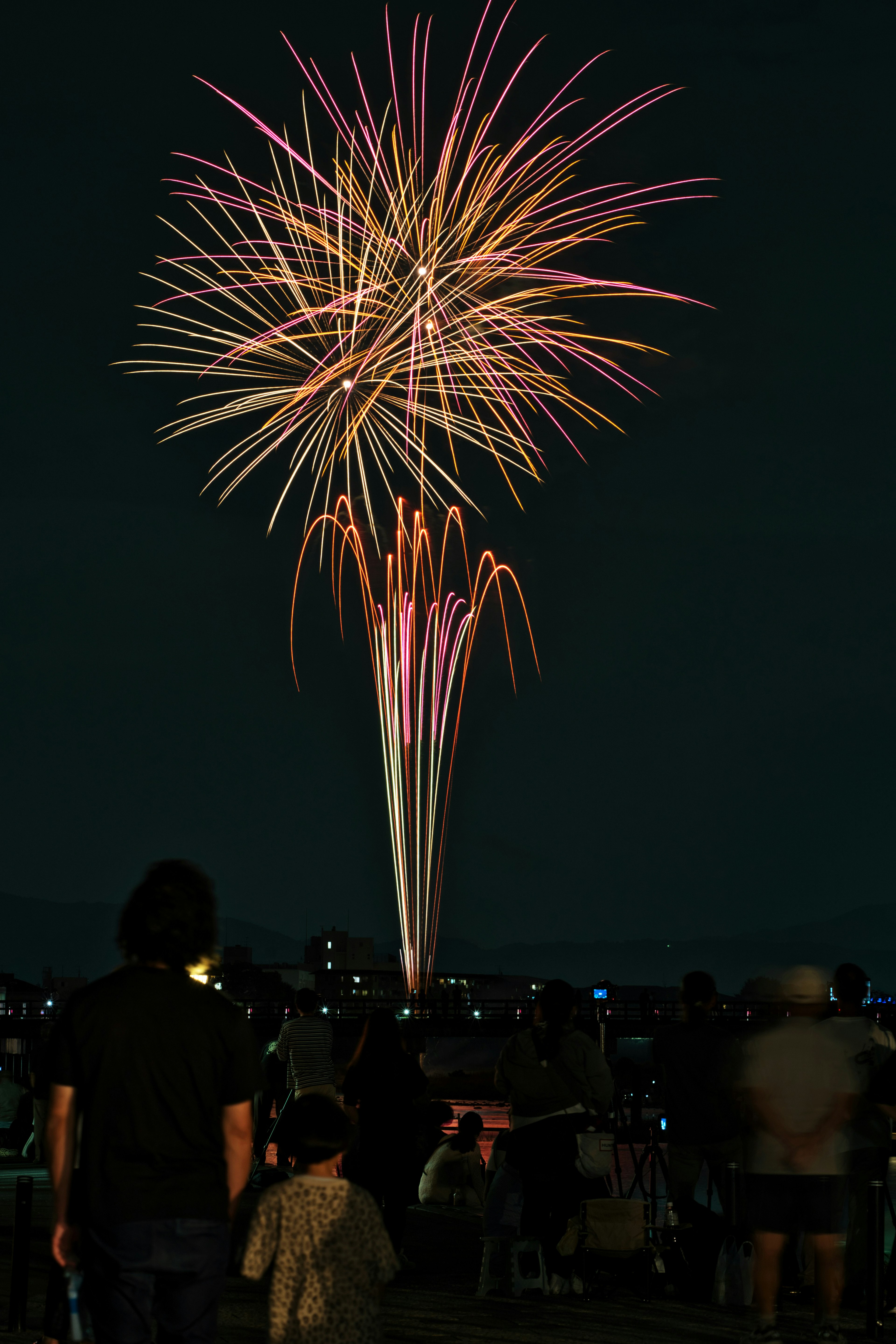 Magnifique tir de feux d'artifice s'épanouissant dans le ciel nocturne avec des gens regardant