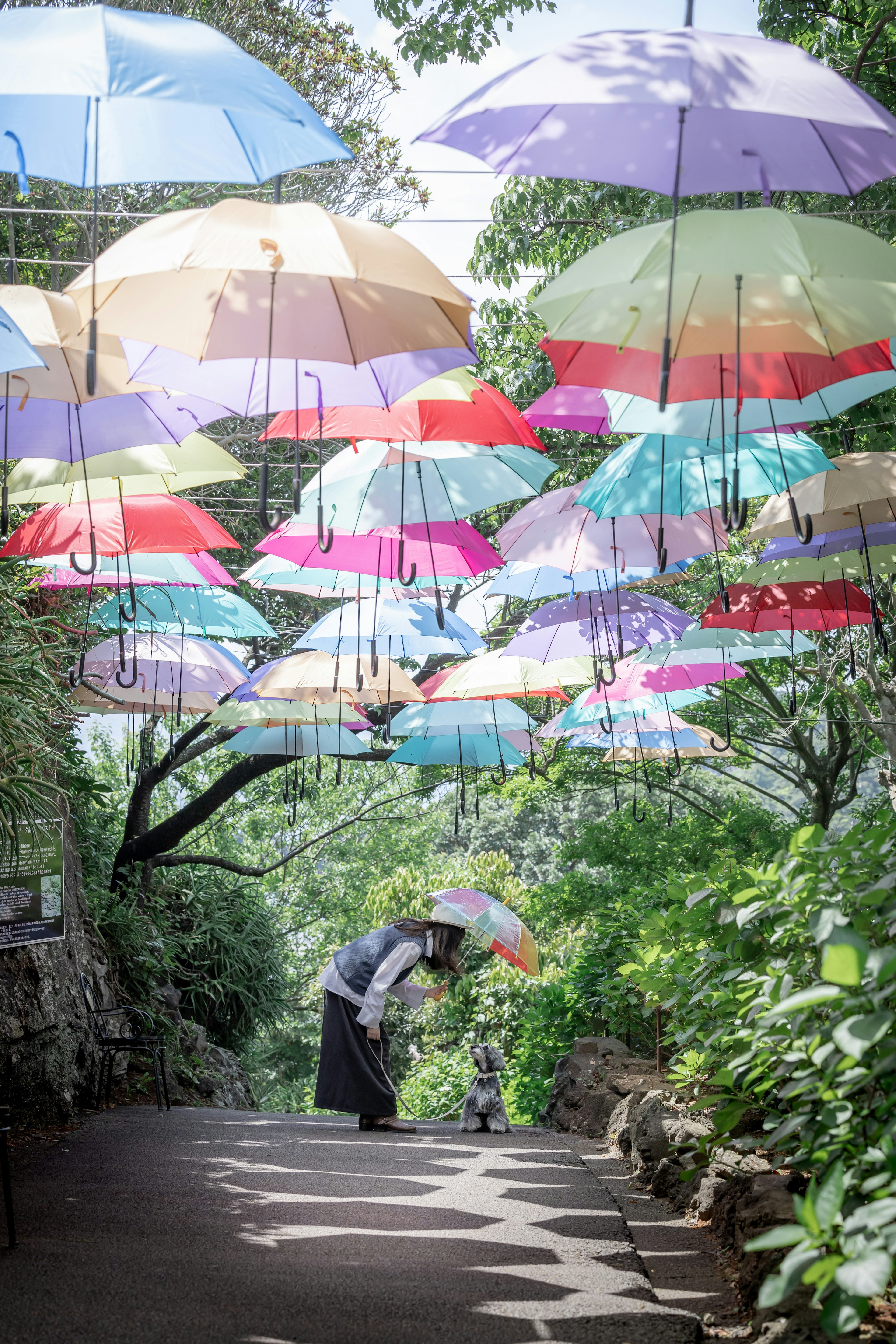 Une personne tenant un parapluie sur un chemin vert avec des parapluies colorés suspendus au-dessus