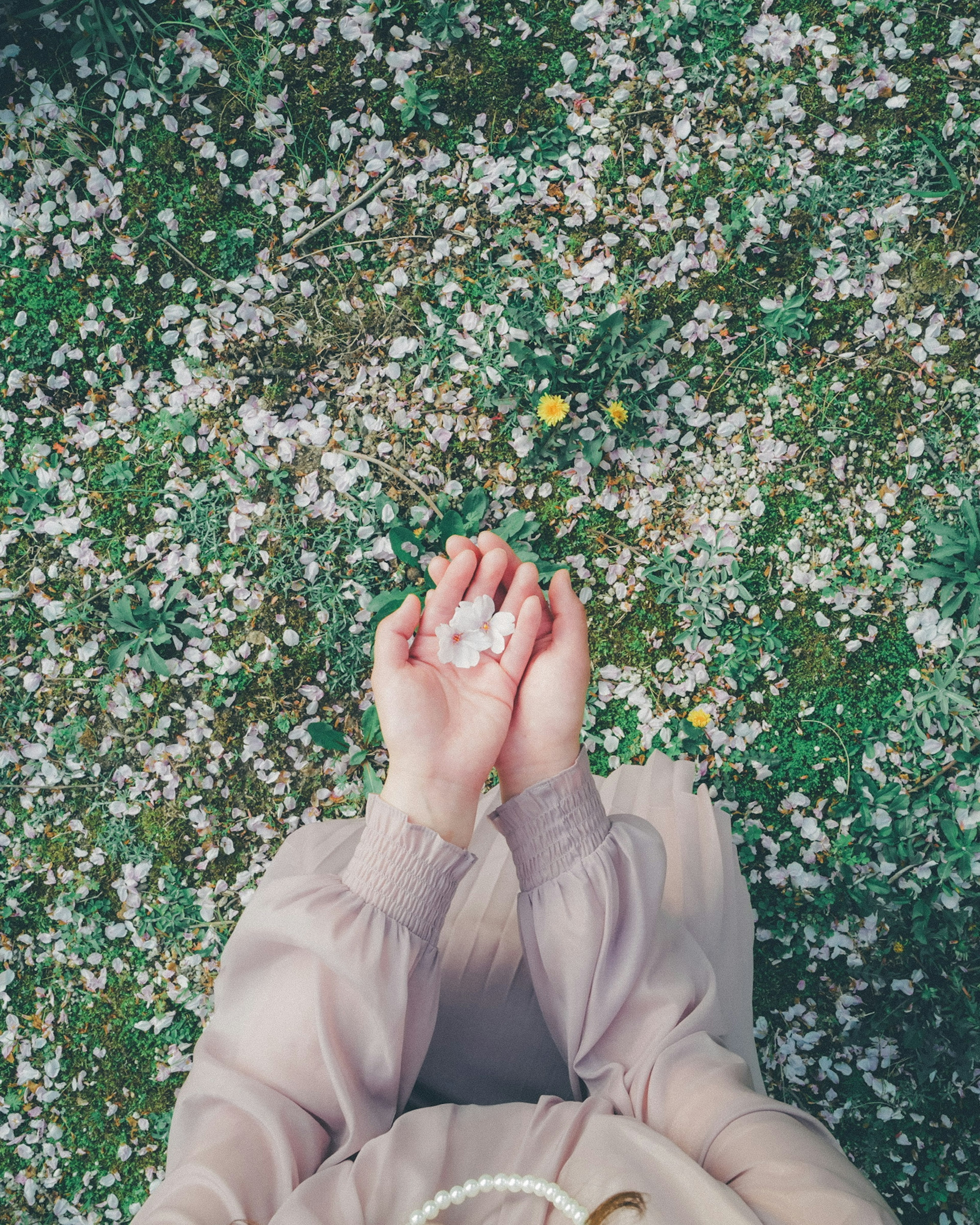 女人的手托著花瓣，地面上覆蓋著花瓣和綠草