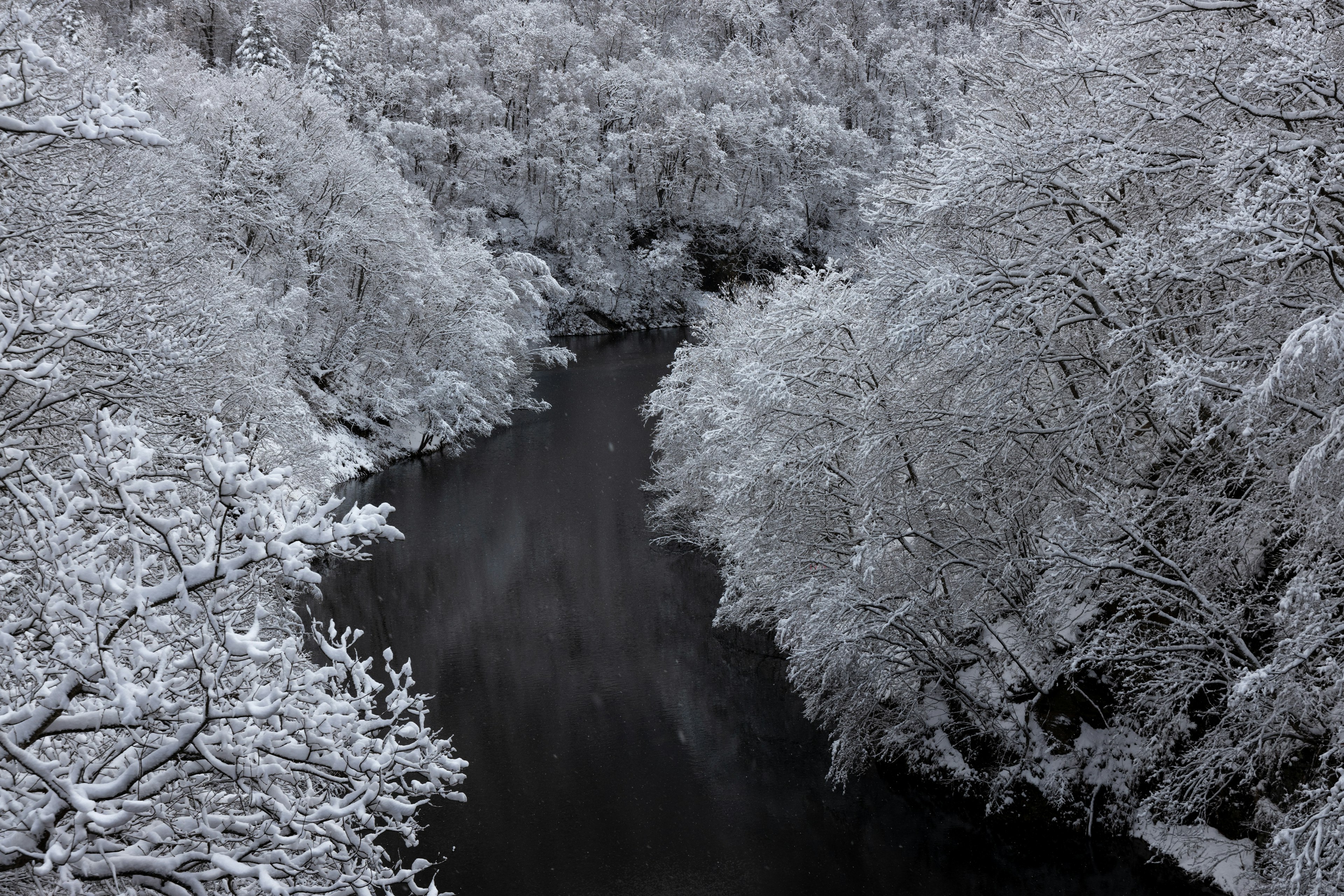 雪に覆われた木々と暗い川の風景