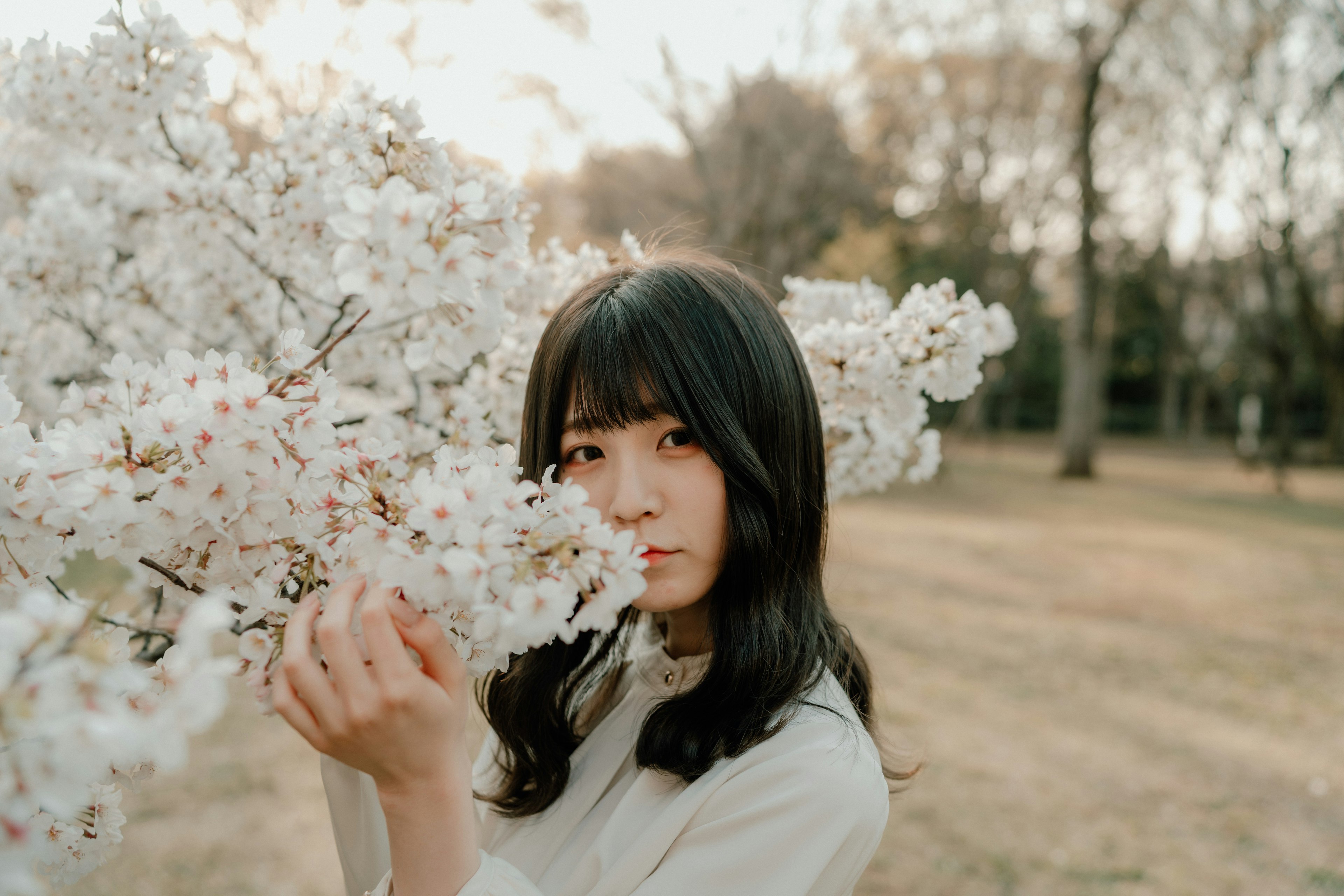 桜の花の前に立つ女性のポートレート