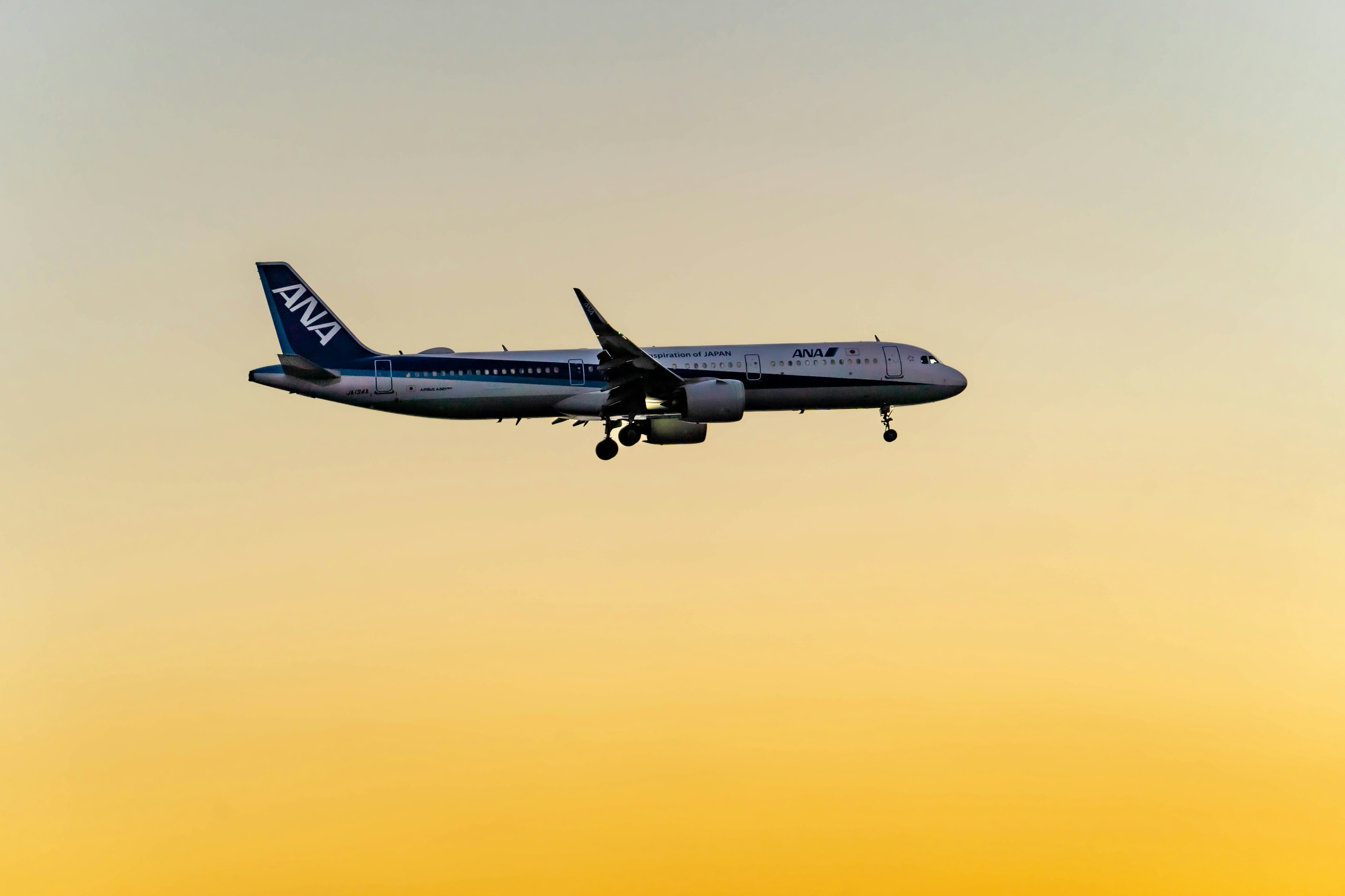 Avión volando contra un cielo al atardecer