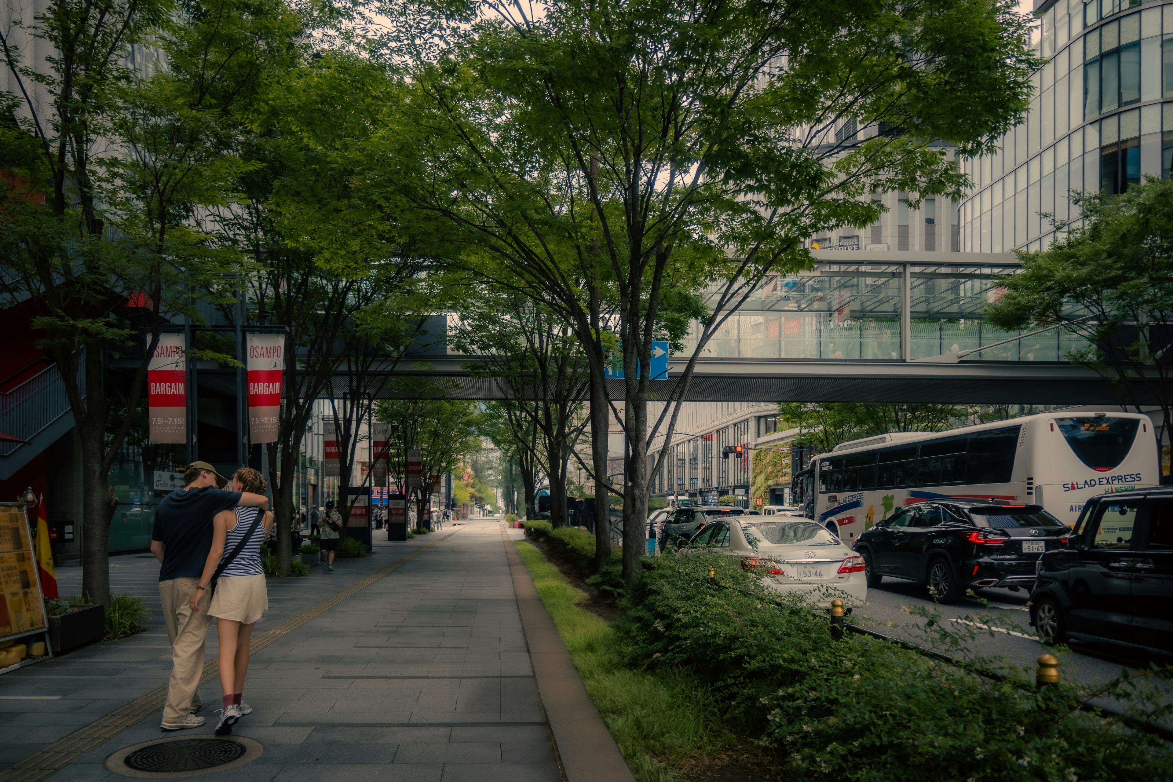 在树木成行的城市街道上拥抱的情侣和车辆