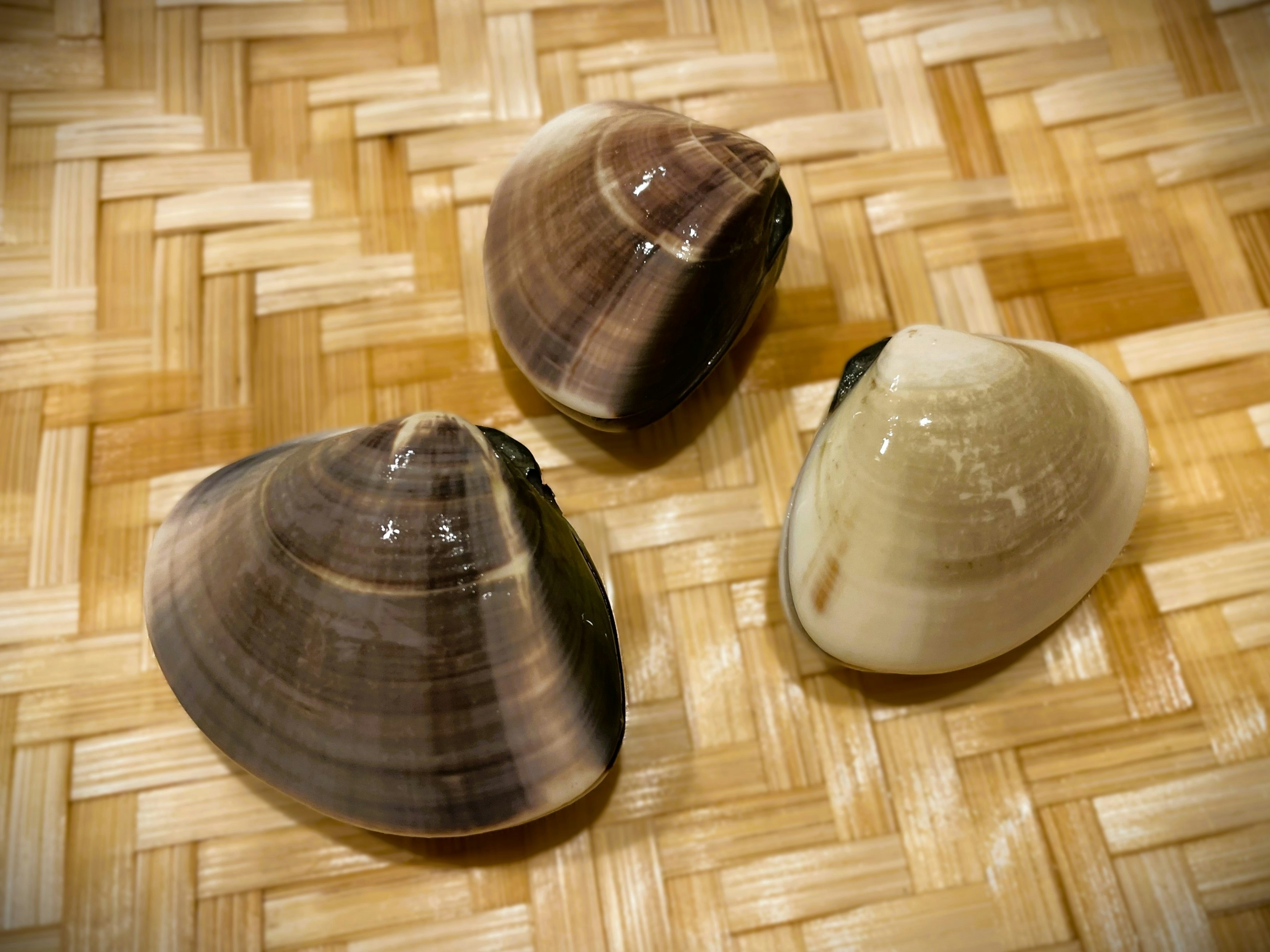 Three clams placed on a woven basket surface