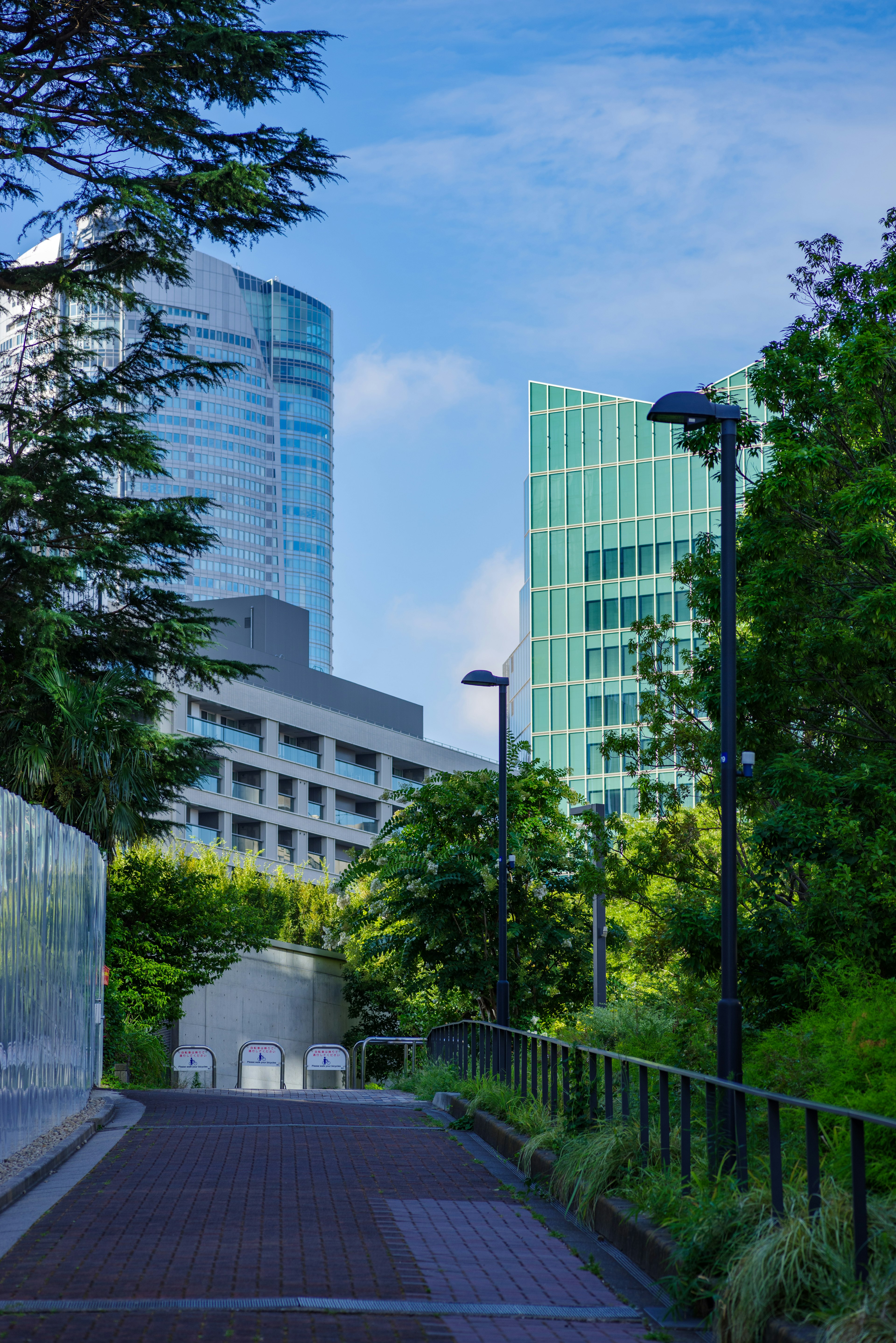 A pathway lined with greenery and tall buildings in the background