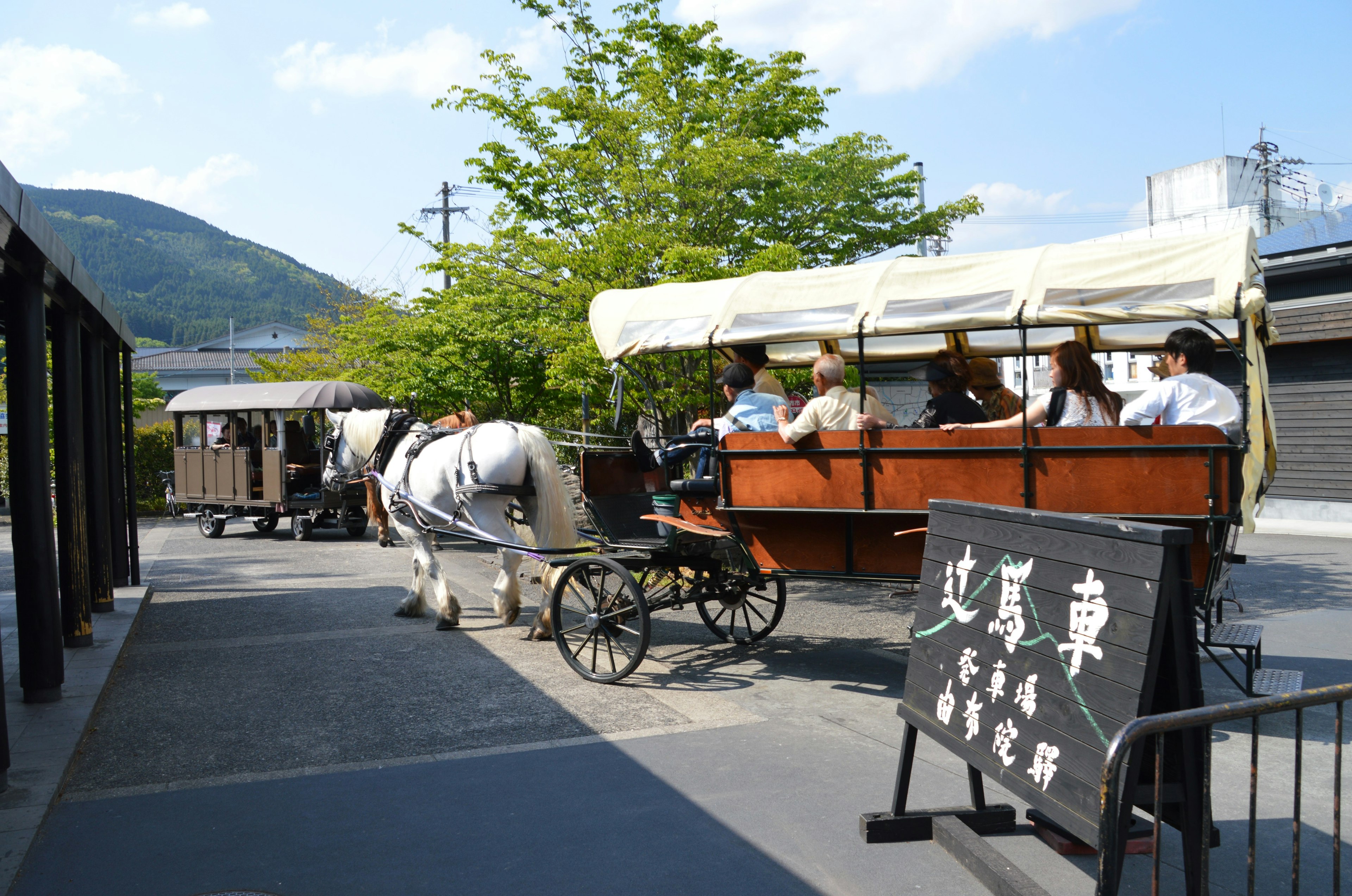 載著遊客的馬車和背景中的綠樹