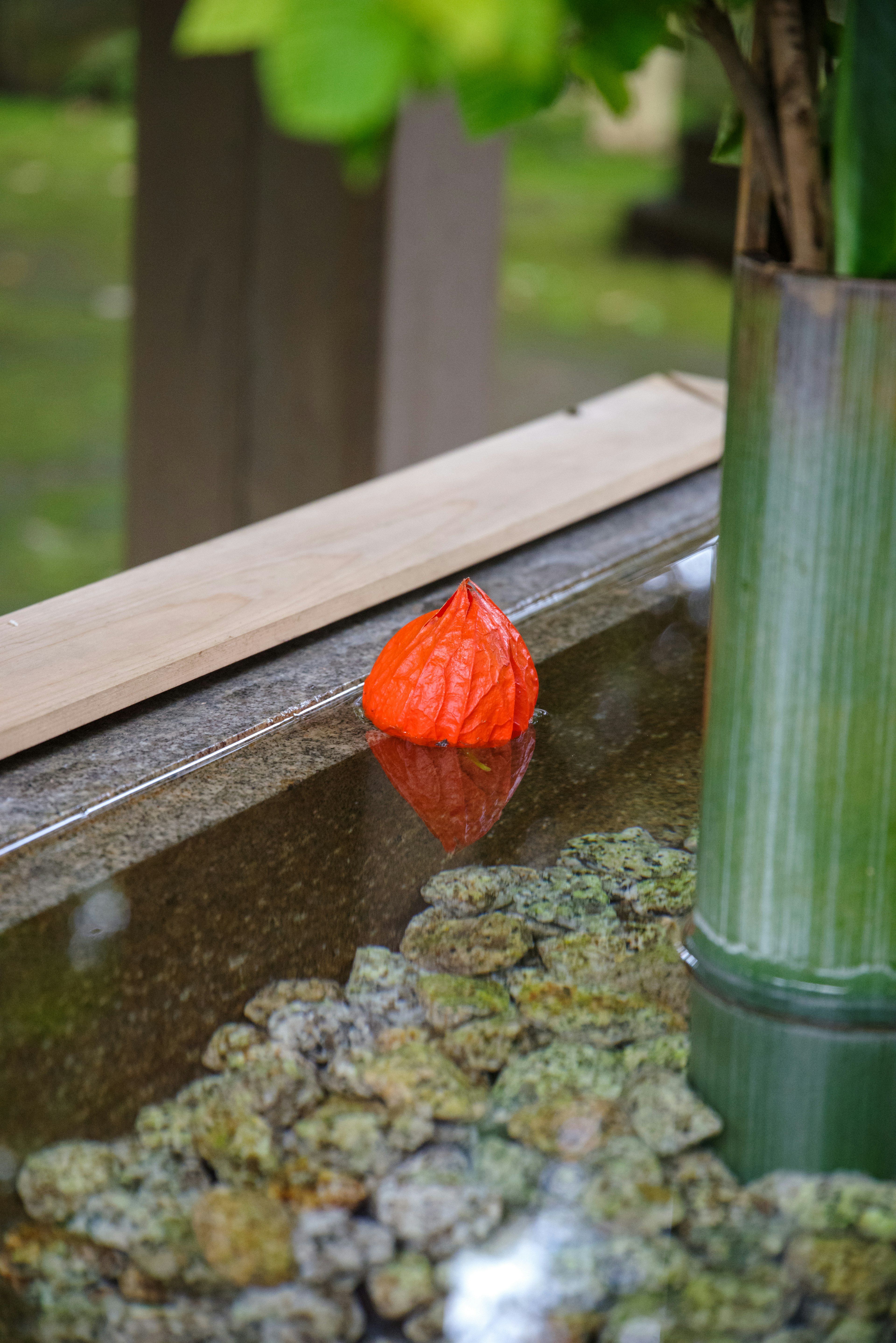 An orange lantern-shaped object floating on water next to a bamboo vase