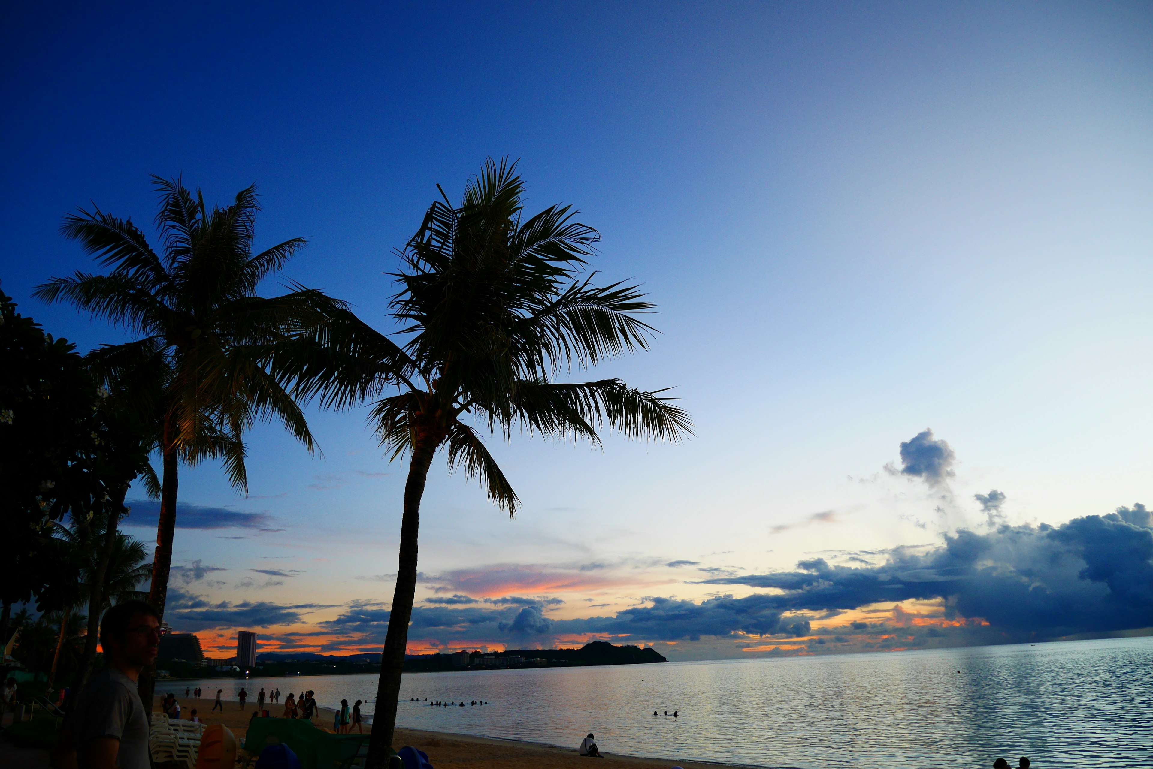 Palmeras en silueta contra un sereno atardecer en la playa y océano tranquilo