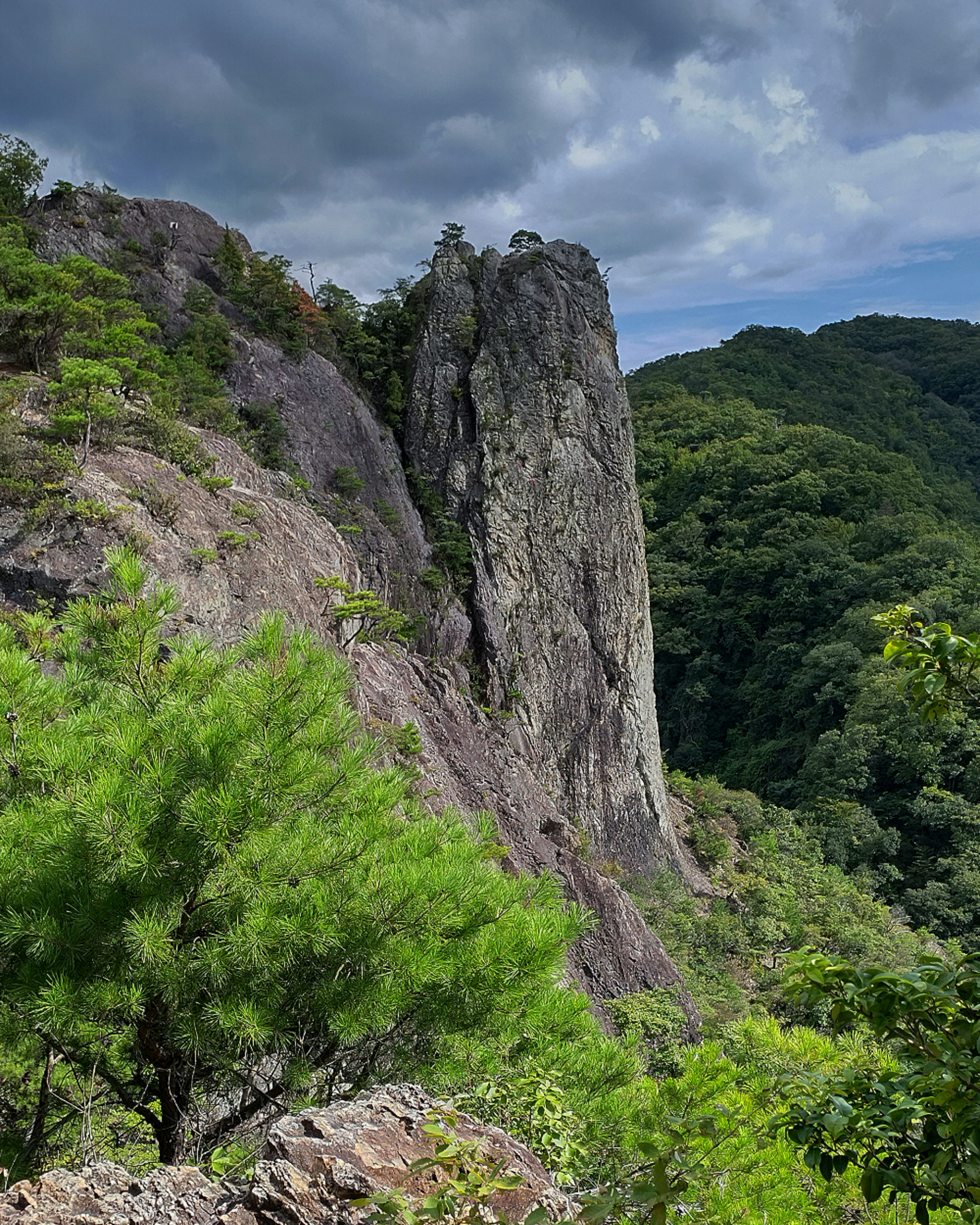 Tall rock formation surrounded by lush green trees