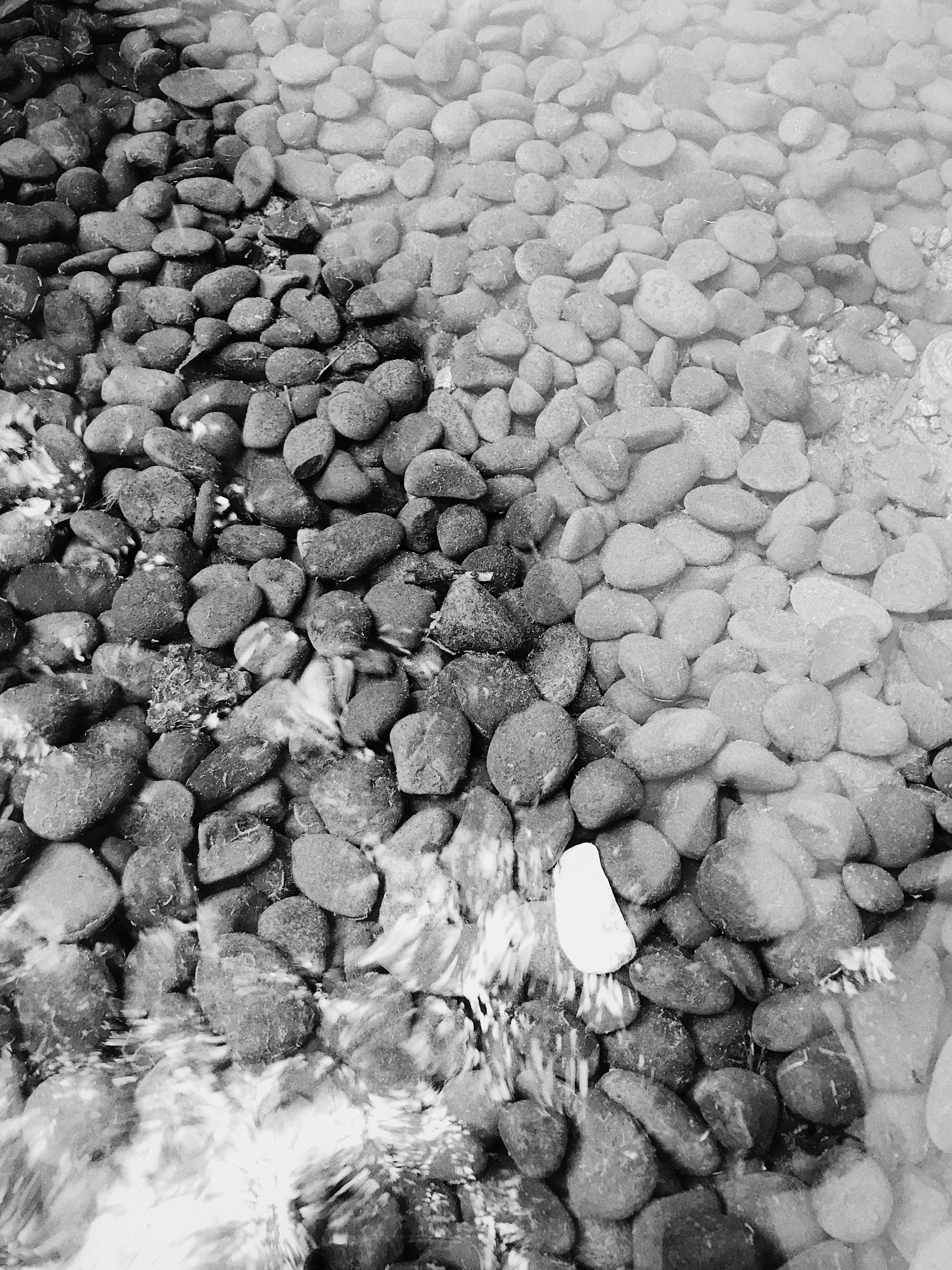 Black and white image of pebbles underwater with clear textures