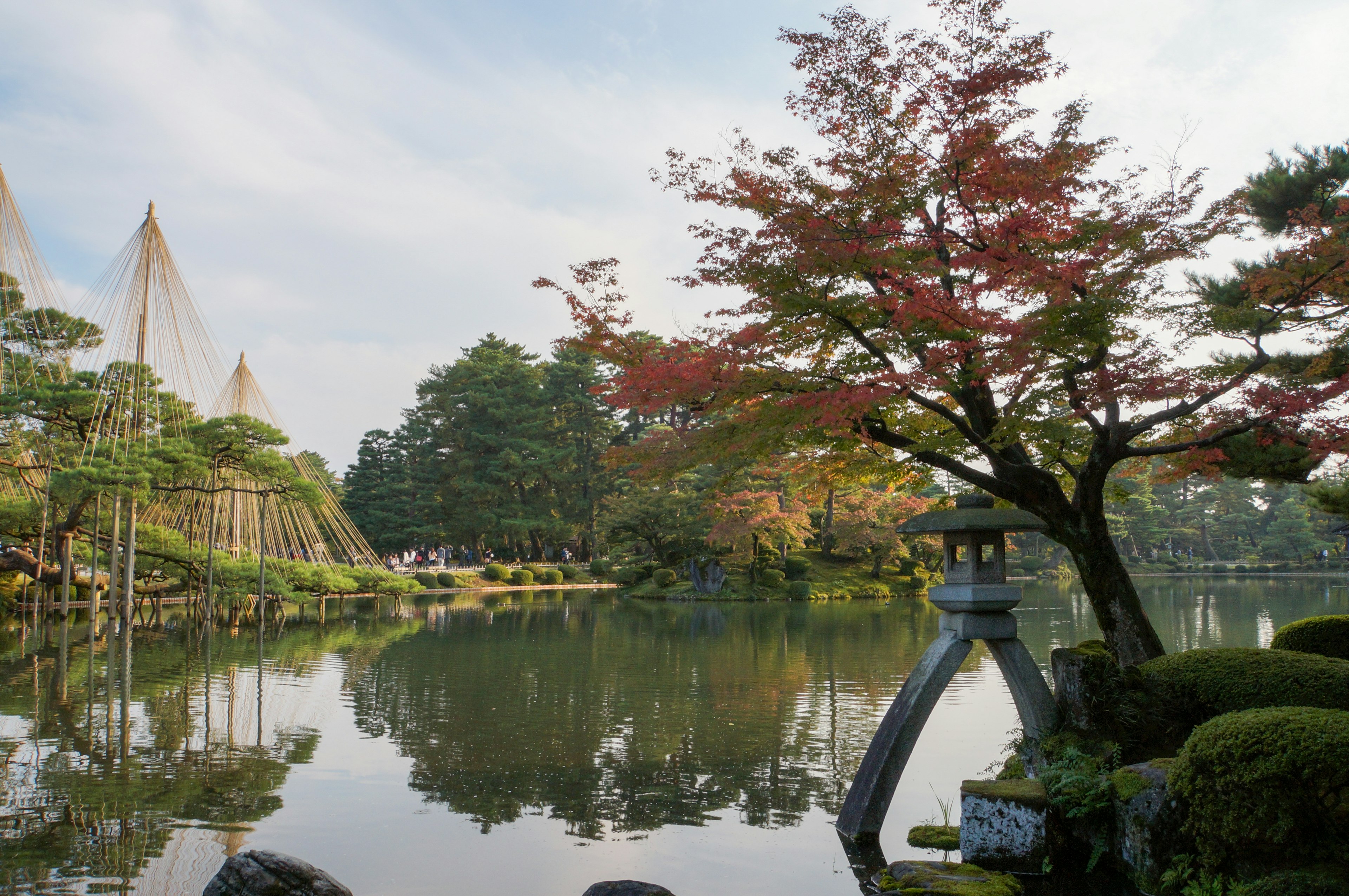 Vista escénica de un jardín con un árbol colorido y un estanque tranquilo