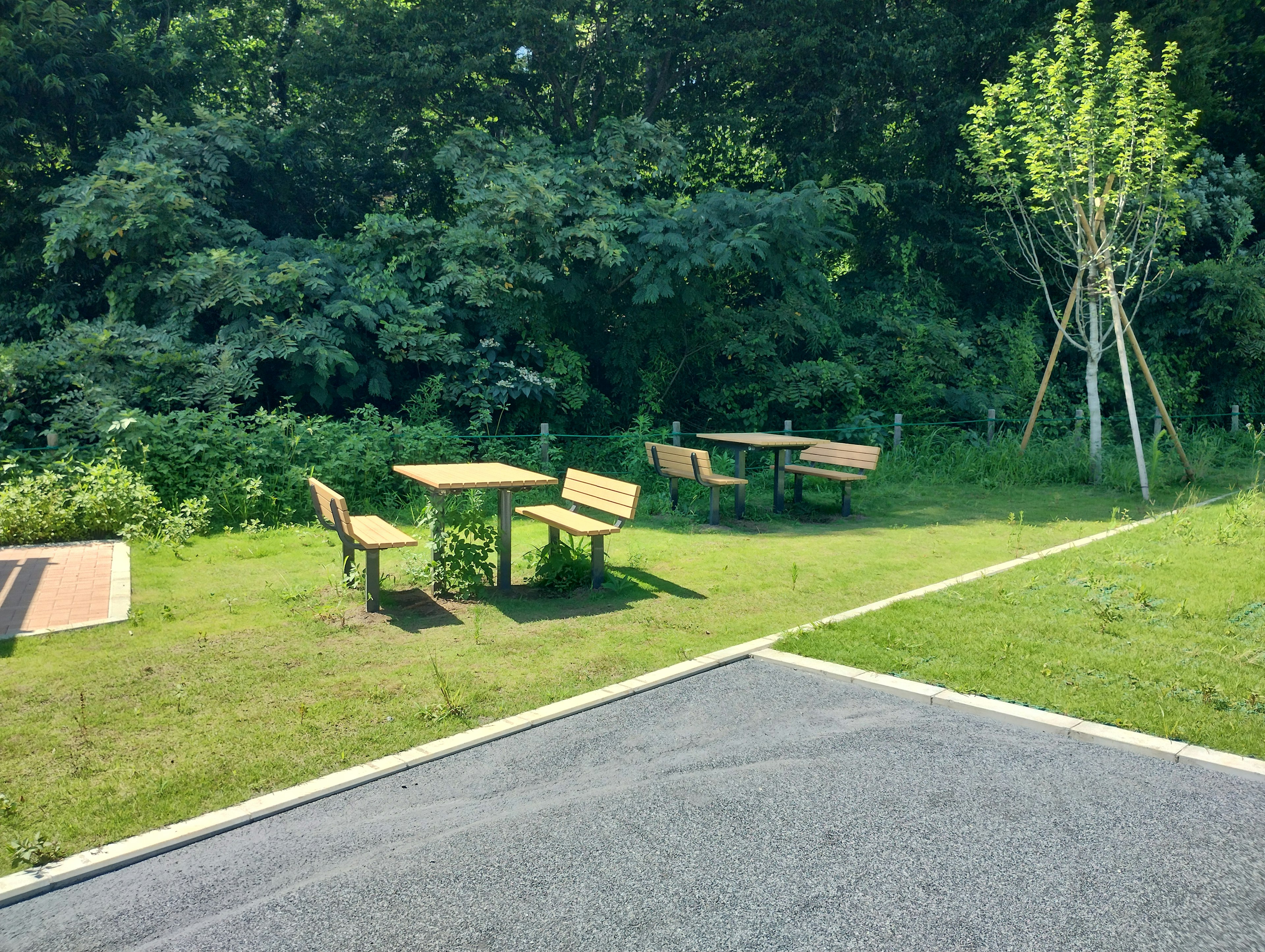 Escena de parque con mesas y sillas de madera rodeadas de vegetación exuberante