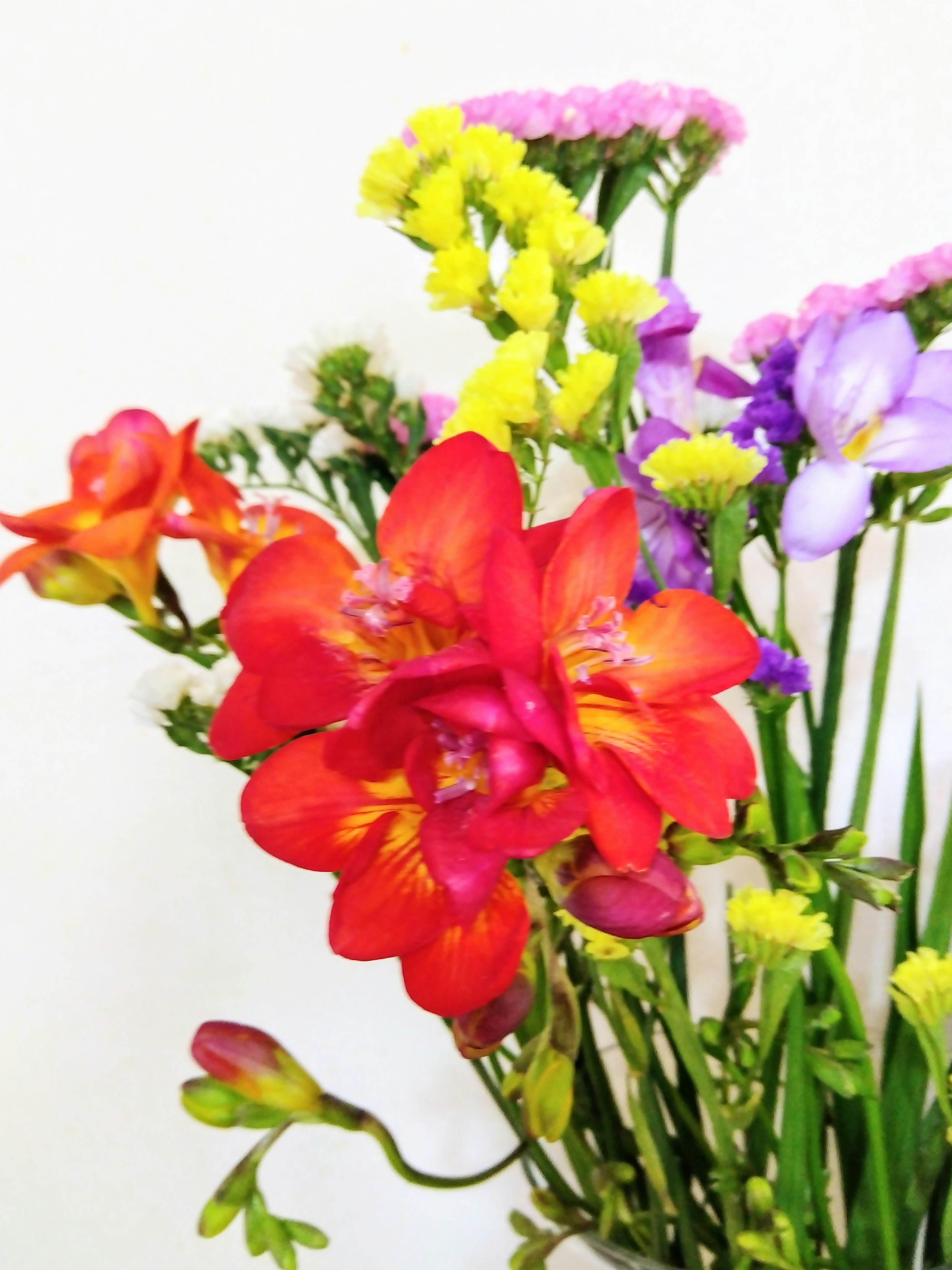 A bouquet featuring bright red freesias and colorful flowers