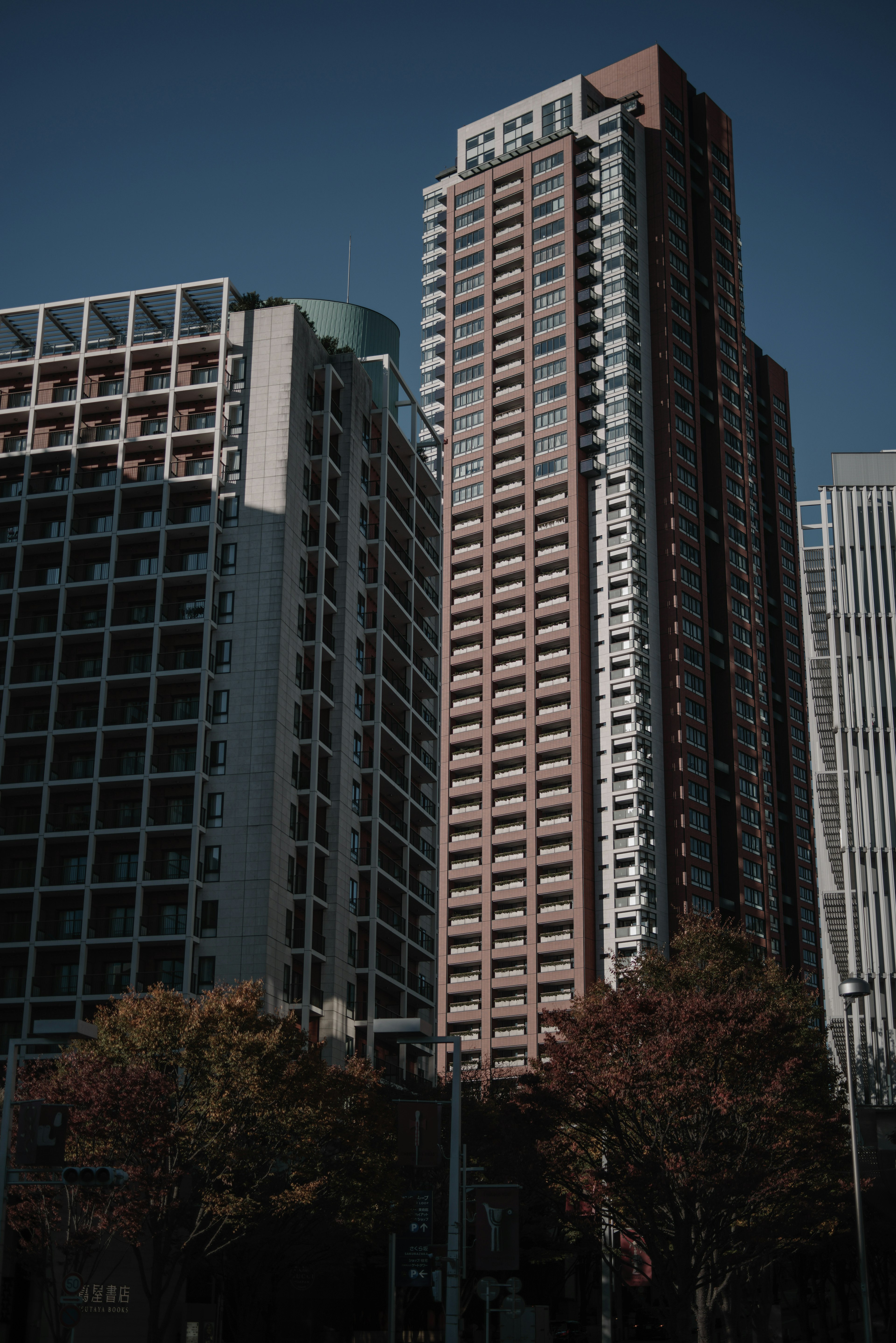 Moderne Skyline mit Hochhäusern und herbstlichem Laub